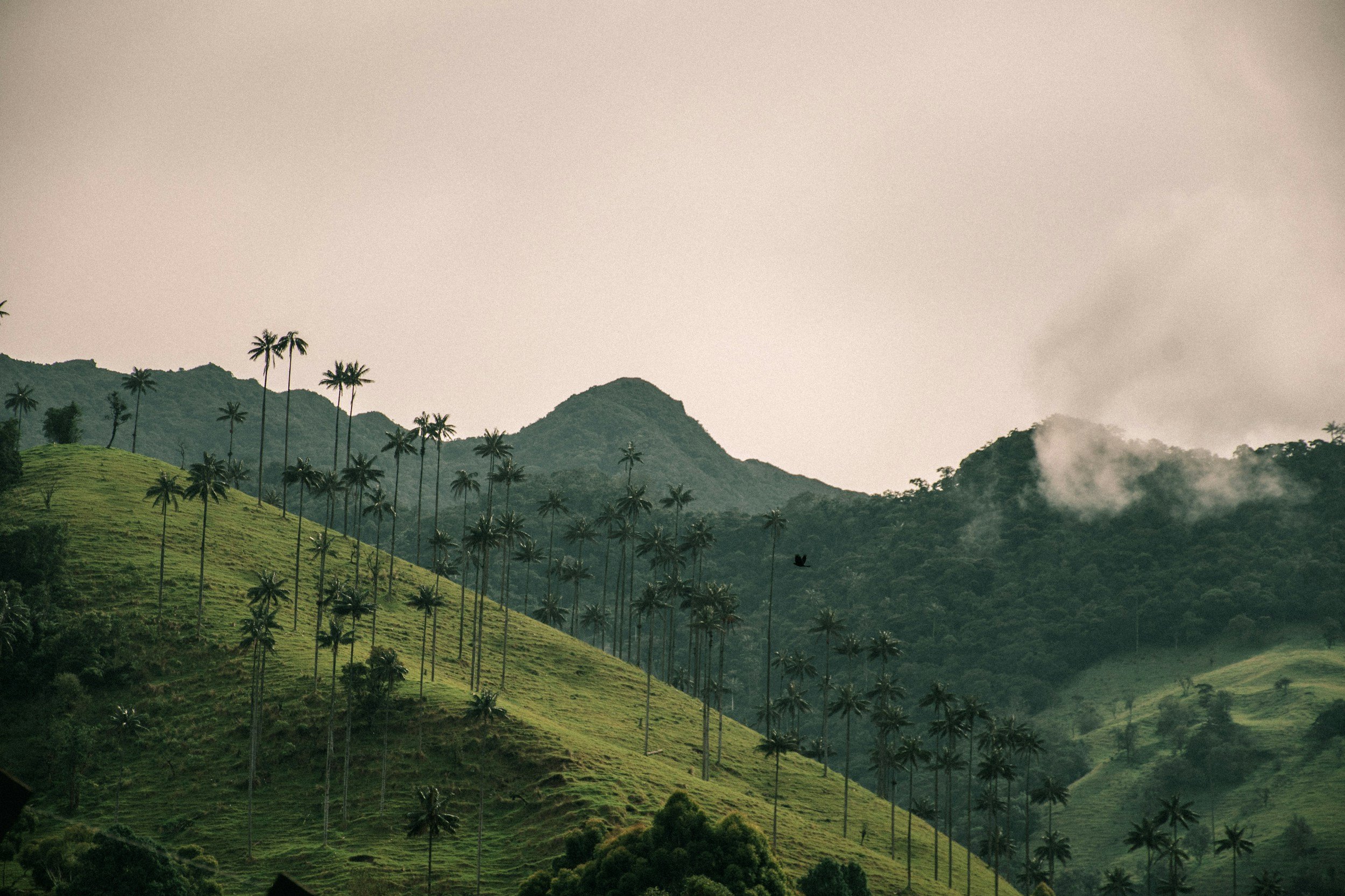 unsplash-image-omJtNsCi5gk.jpg