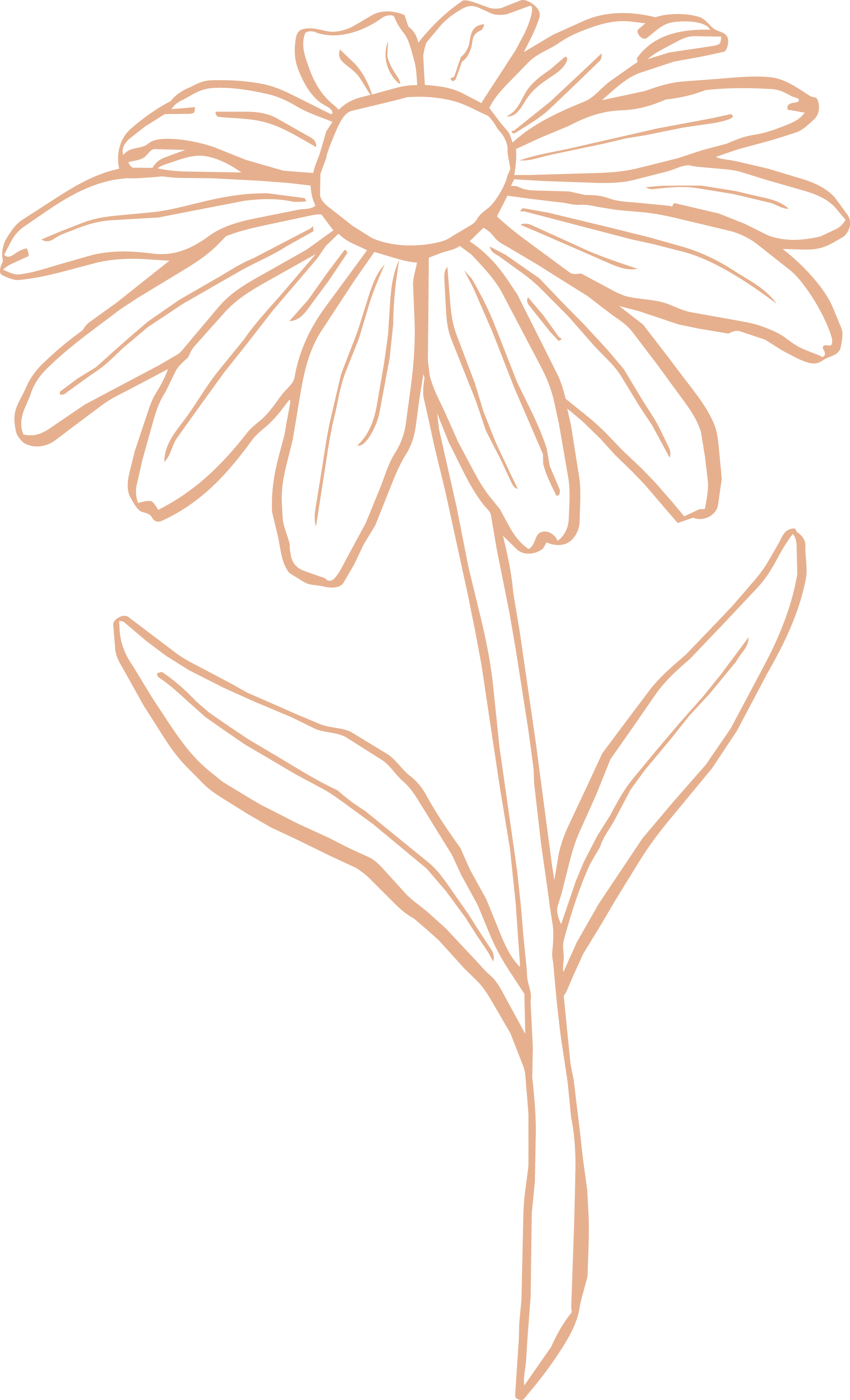 Line drawing of a flower with elongated petals and a single leaf, gold outline on a black background.