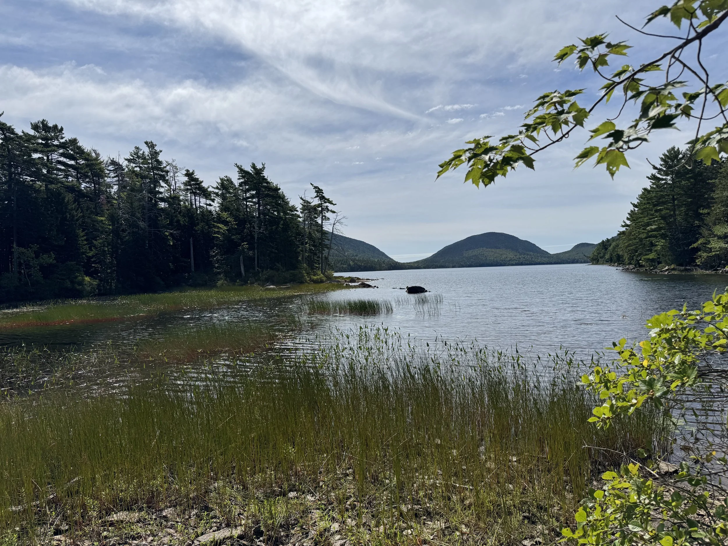 A peaceful lake with pine trees along the shore, distant hills, and a partly cloudy sky with wispy clouds.