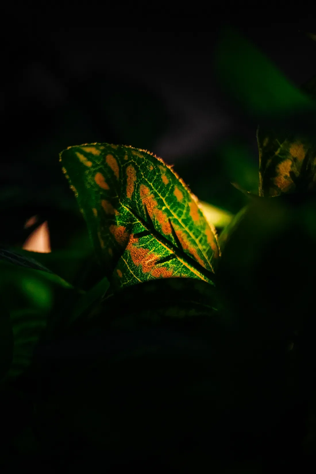 What I Look Out For Before I Take Out My Camera