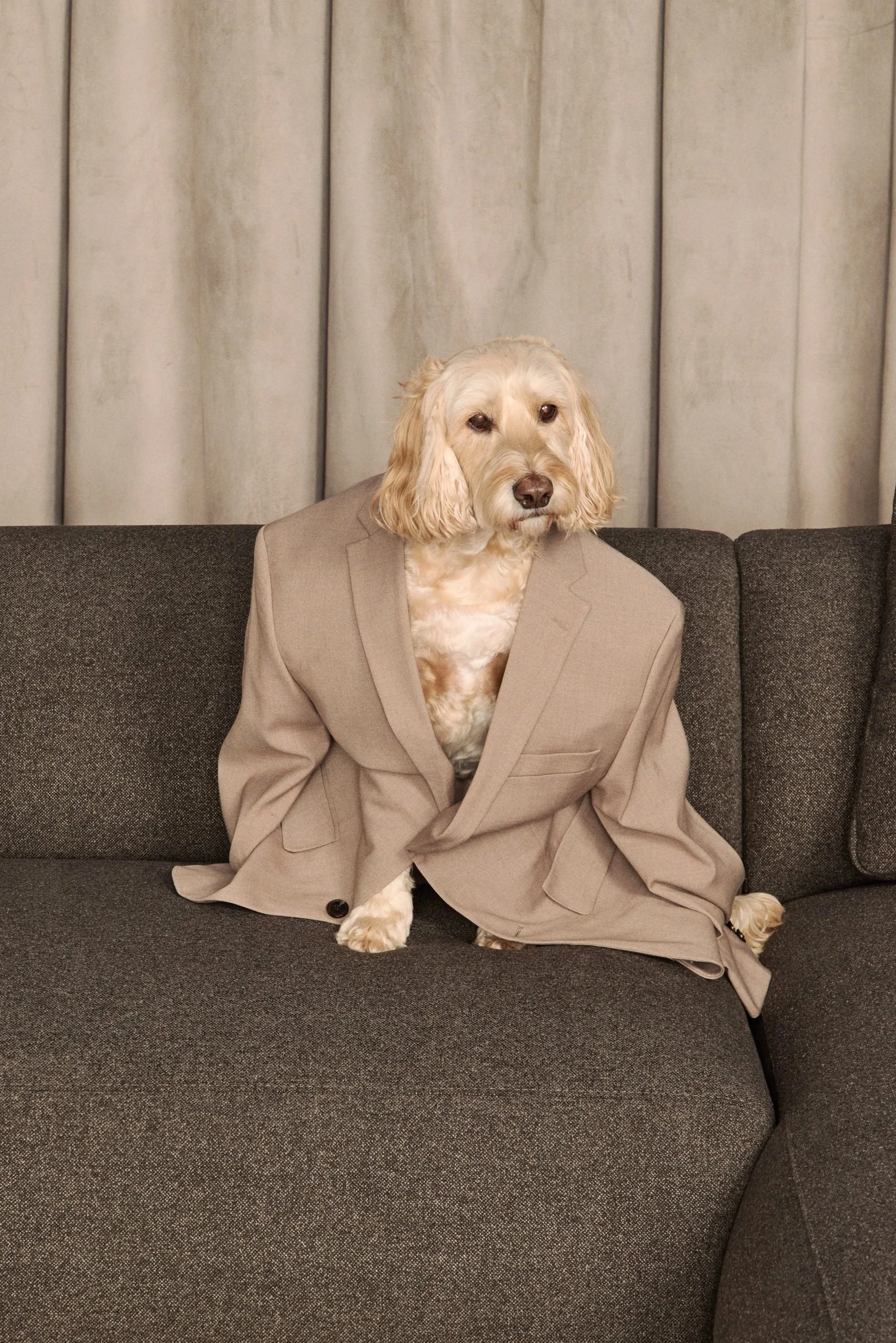Stay. Sit. Style your life. 