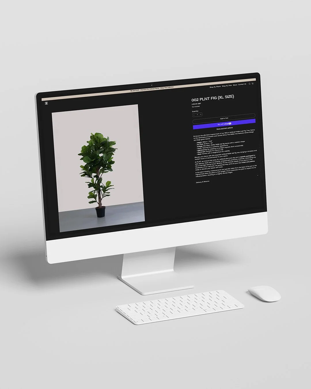 Artboard 1-5.jpg