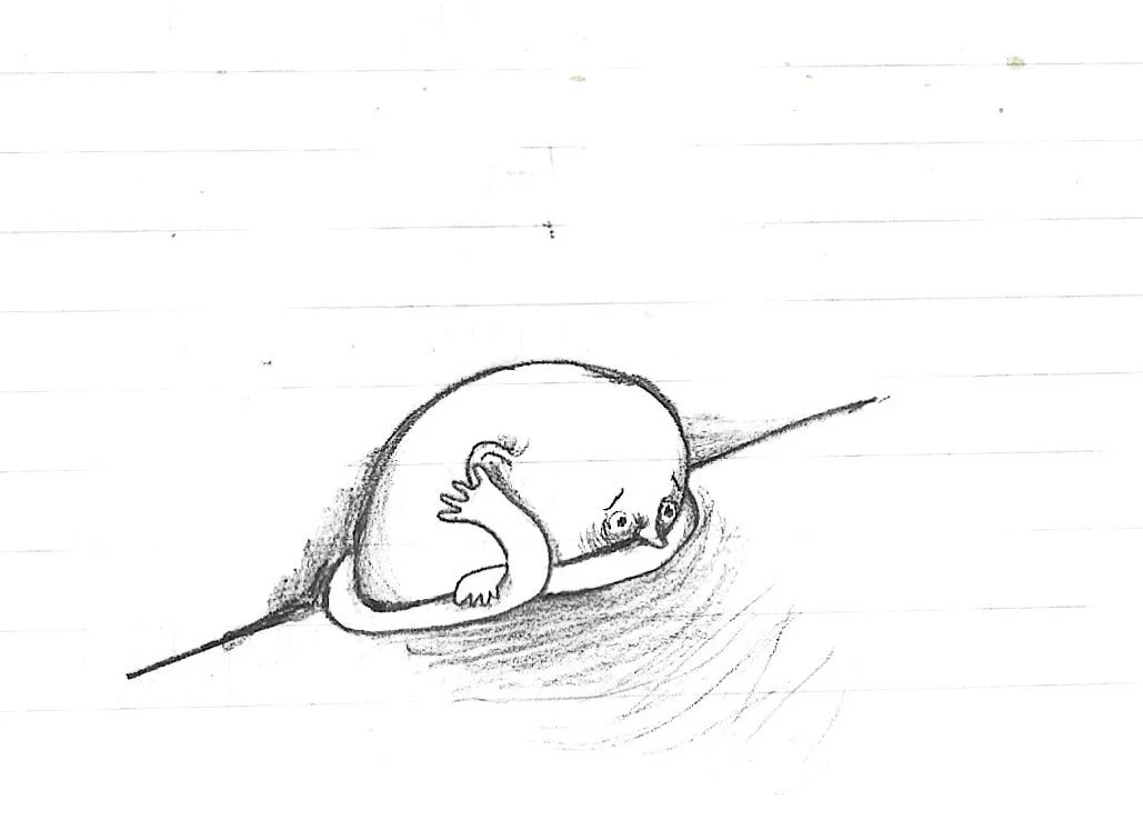 shlumped.jpeg