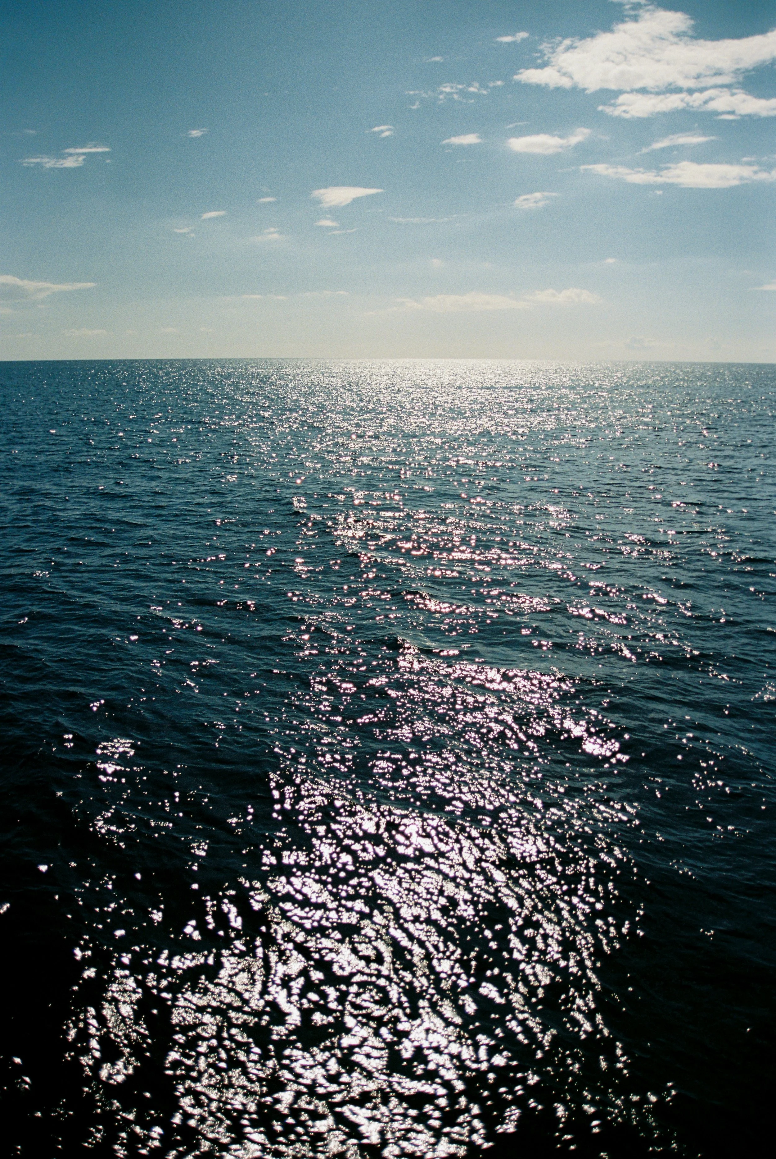 Kokomo-Canvas-717.jpg