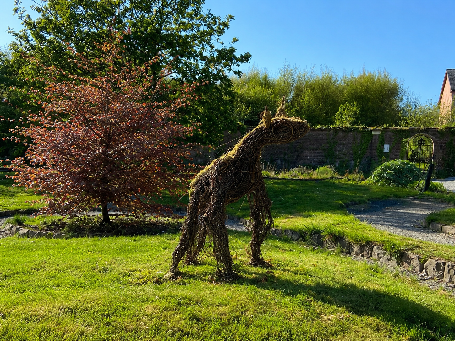 Herbivorous Salix – The Gentle Giant, a woven willow sculpture by Kerry artist Phil McSweeney, exhibited in Mary Reynolds’ Garden at the Disaert Garden, Dingle, as part of Féile na Bealtaine