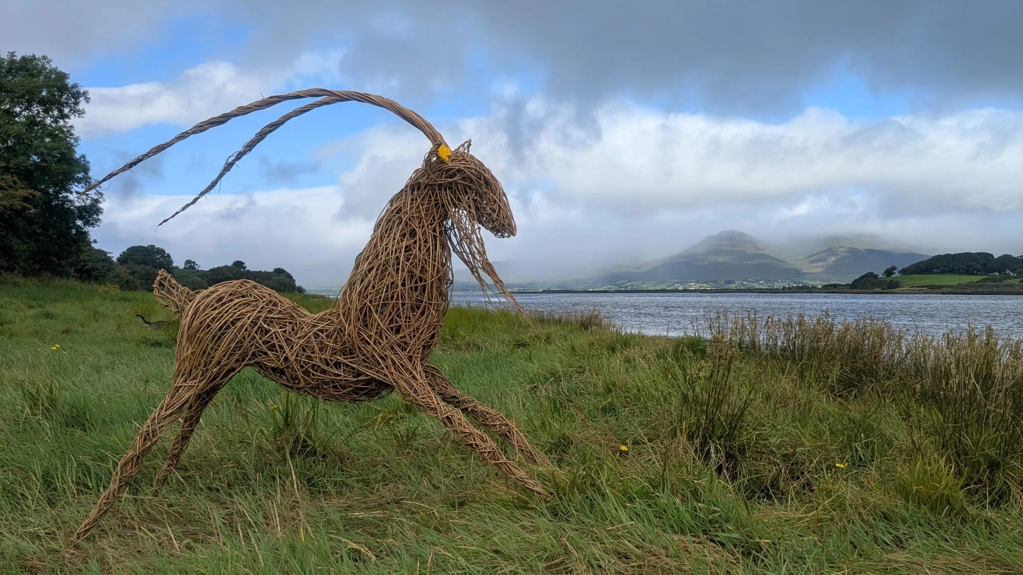 King of the Hill, a woven willow goat sculpture created for Puck Fair in Killorglin, County Kerry