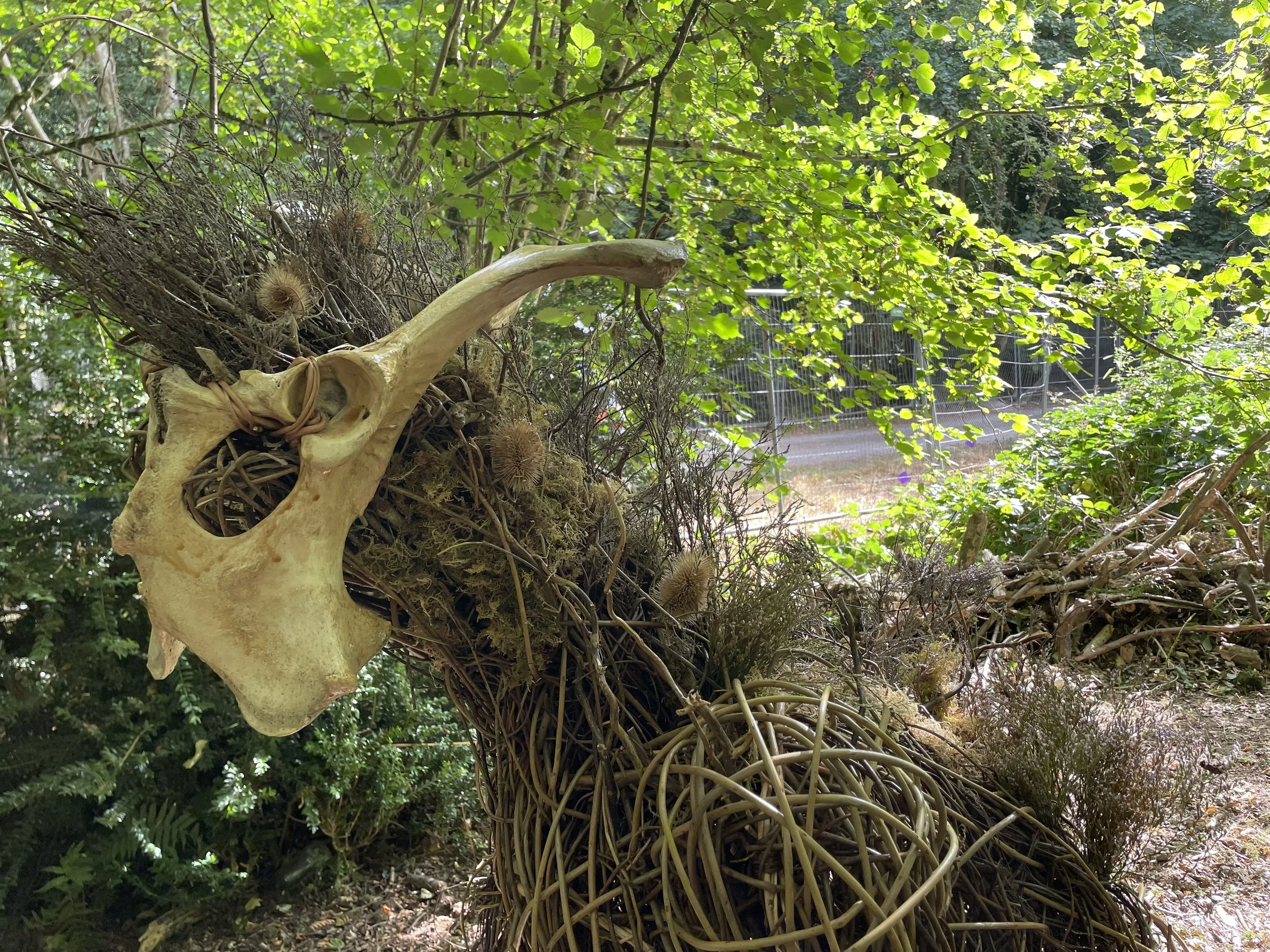 The Watcher of the Forest, a large-scale woven willow sculpture with a horned skull, exhibited on the Electric Picnic Art Trail in Ireland