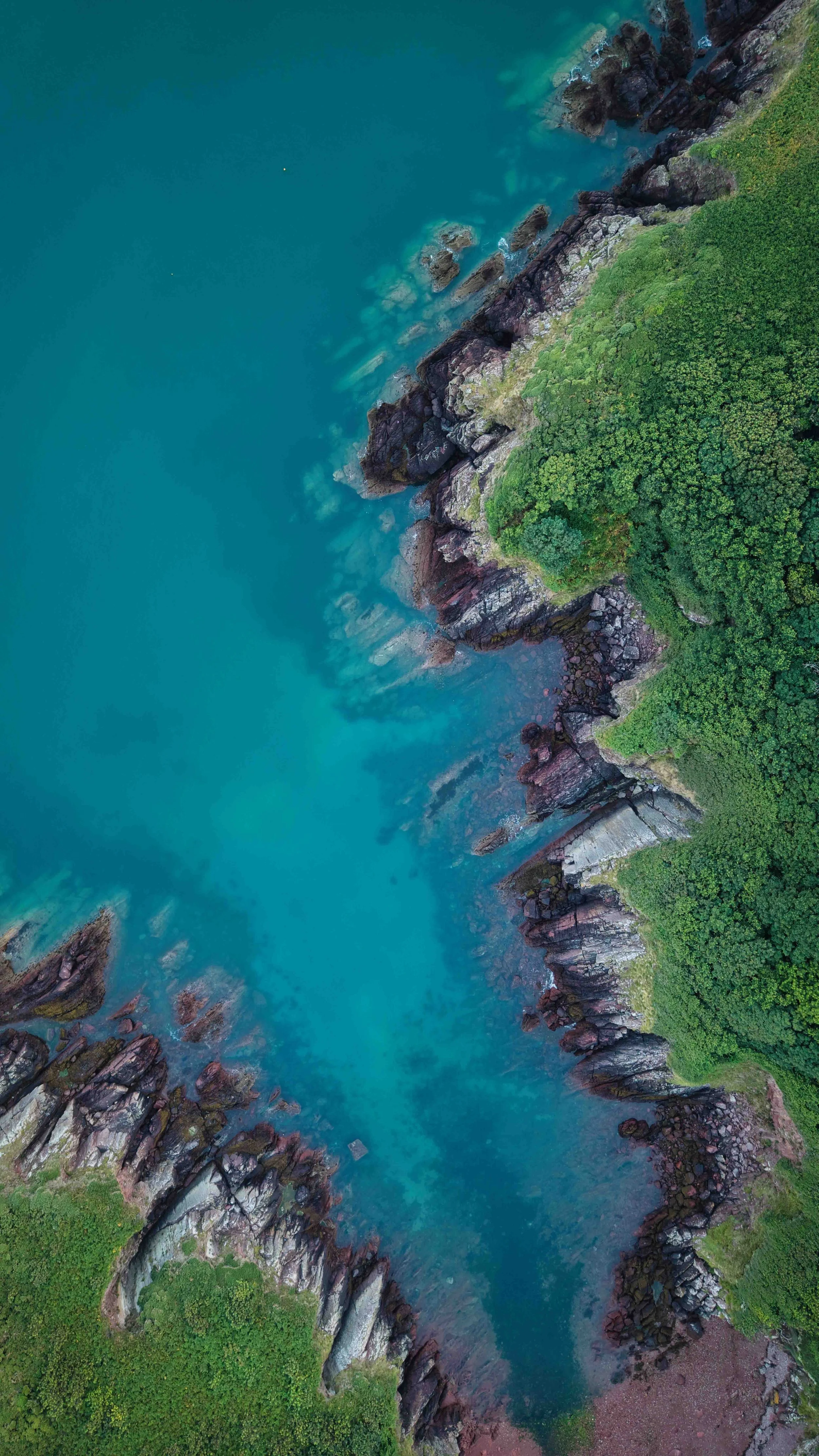 Aerial view of a rocky coastline with lush green vegetation and a turquoise ocean.