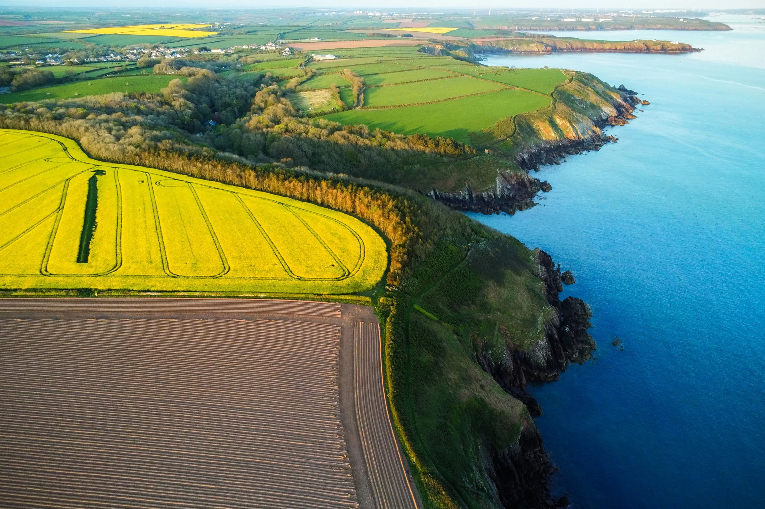 An aerial view of scenic coastal farmland with vibrant yellow rapeseed fields, lush green pastures, forests, and rocky cliffs along a calm blue ocean shoreline.