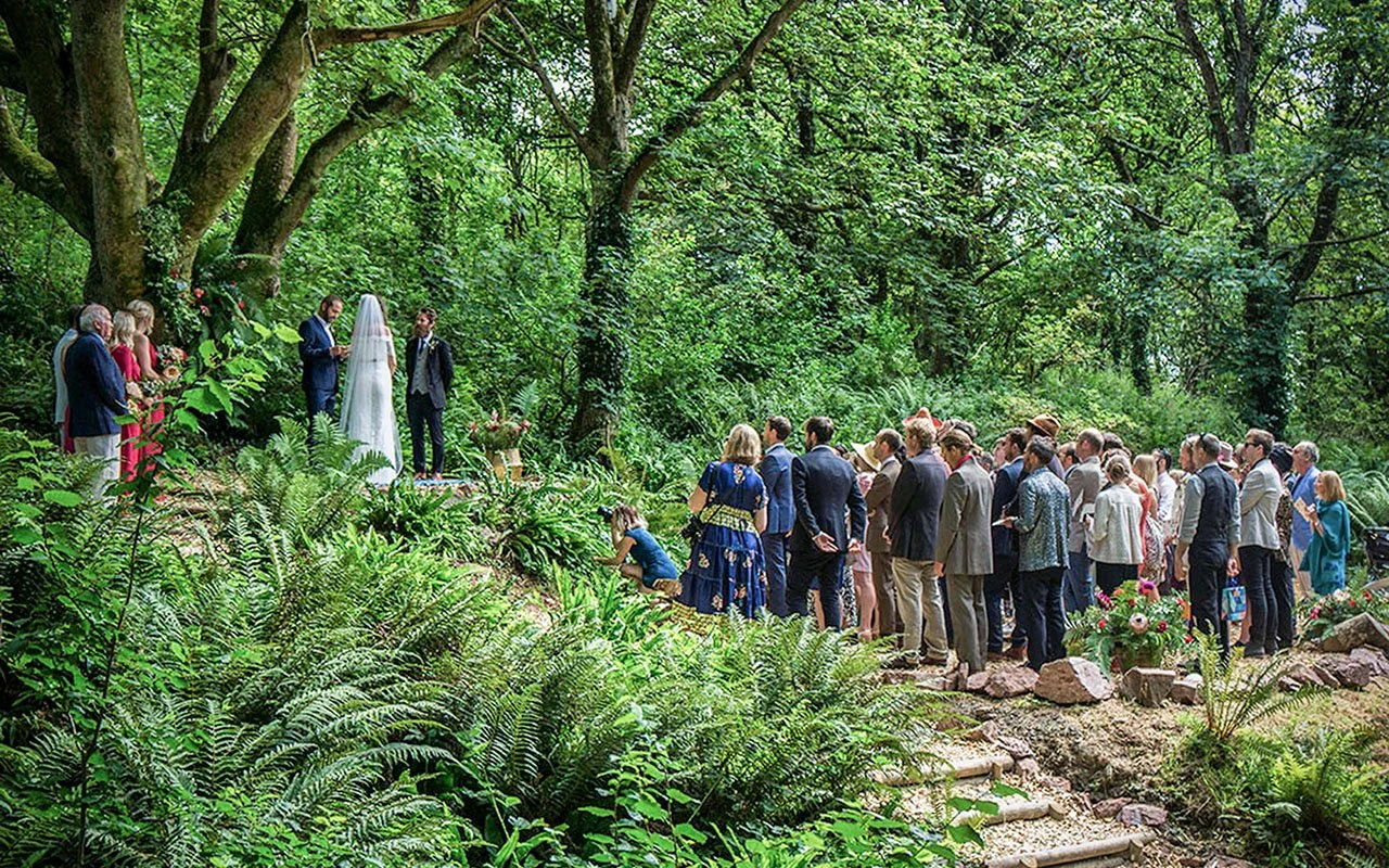 A wedding ceremony taking place in a lush, green forest with a bride and groom standing in front of an officiant, surrounded by guests dressed in formal attire.