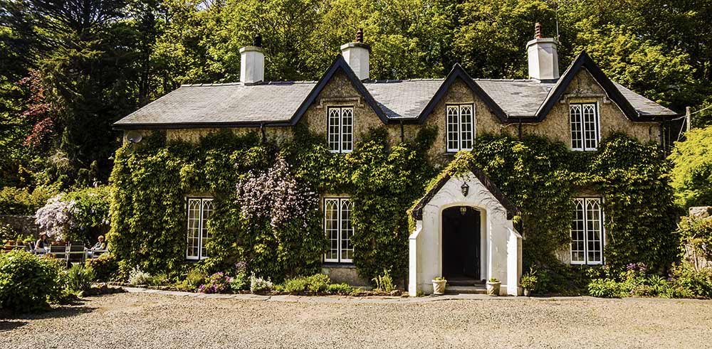 A large, old house covered in green ivy with white-framed windows and a dark roof, set in a lush, wooded area.