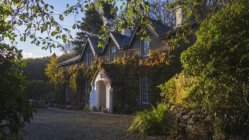 A large, two-story house covered with climbing vines, surrounded by trees and greenery, with a gravel driveway in front, under a clear sky.
