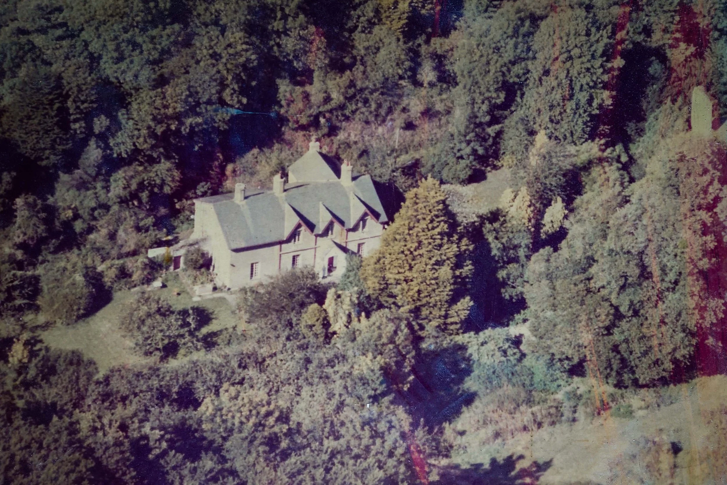 A house partially hidden among dense trees with green and yellow foliage, viewed from above.