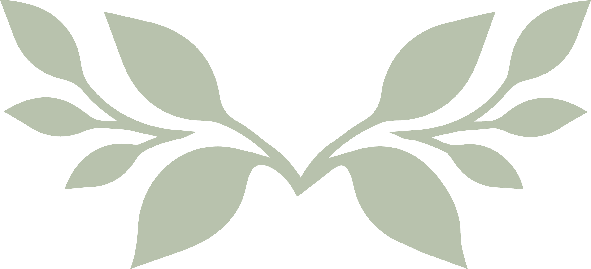 Stylized gray-green wreath of leaves on a black background.