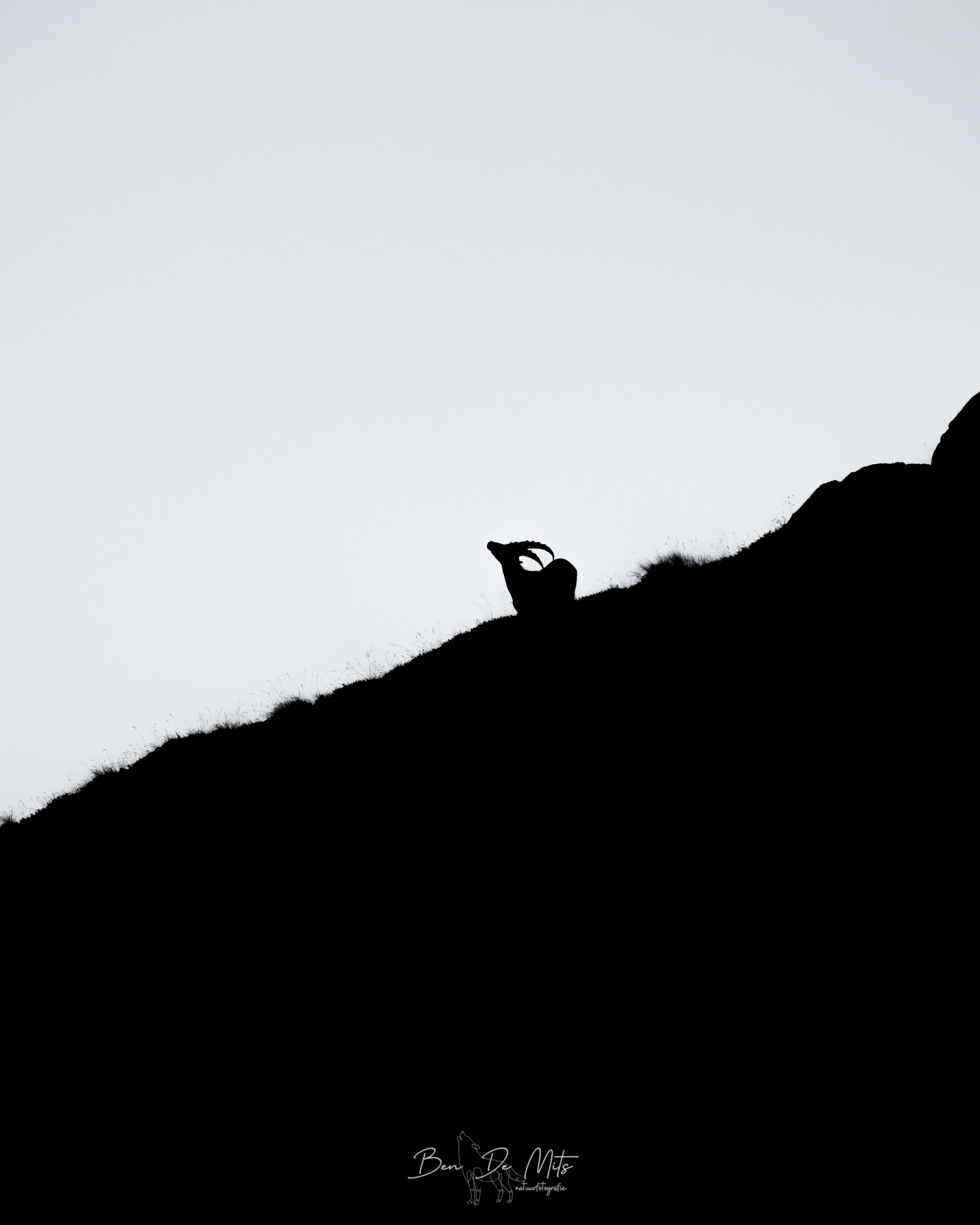 TOP-07195.jpg