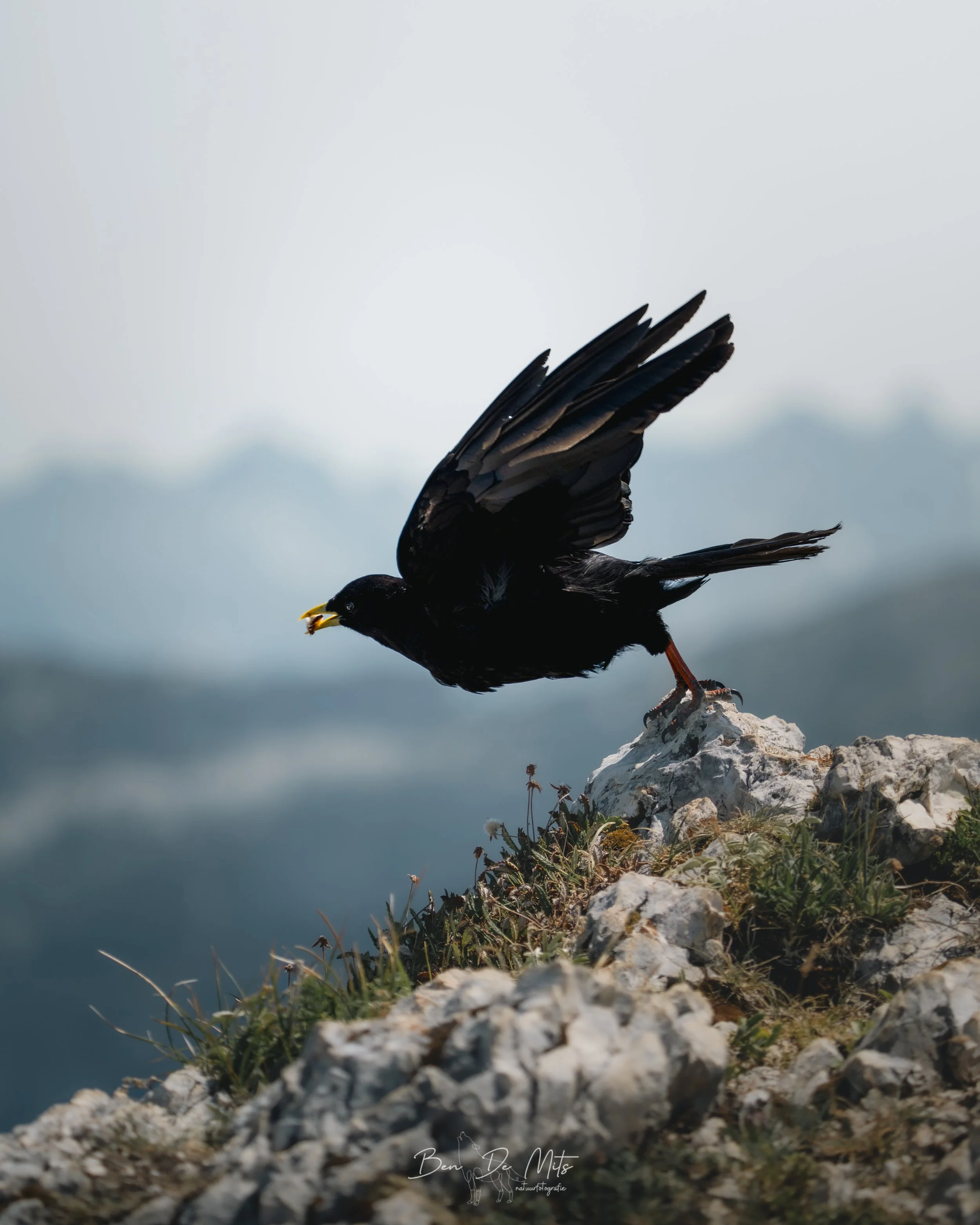 BEN05244.jpg