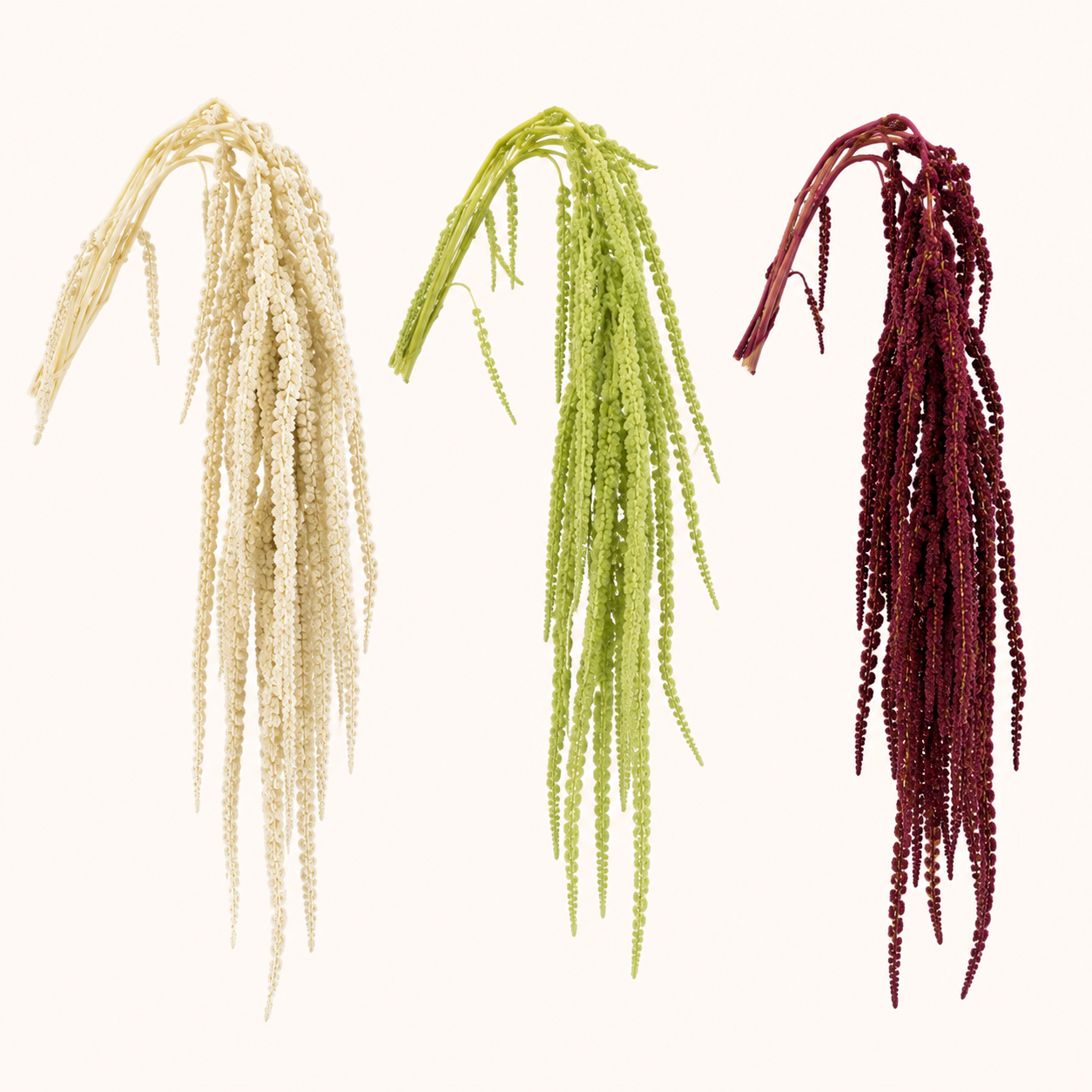 Amaranto-colores.png
