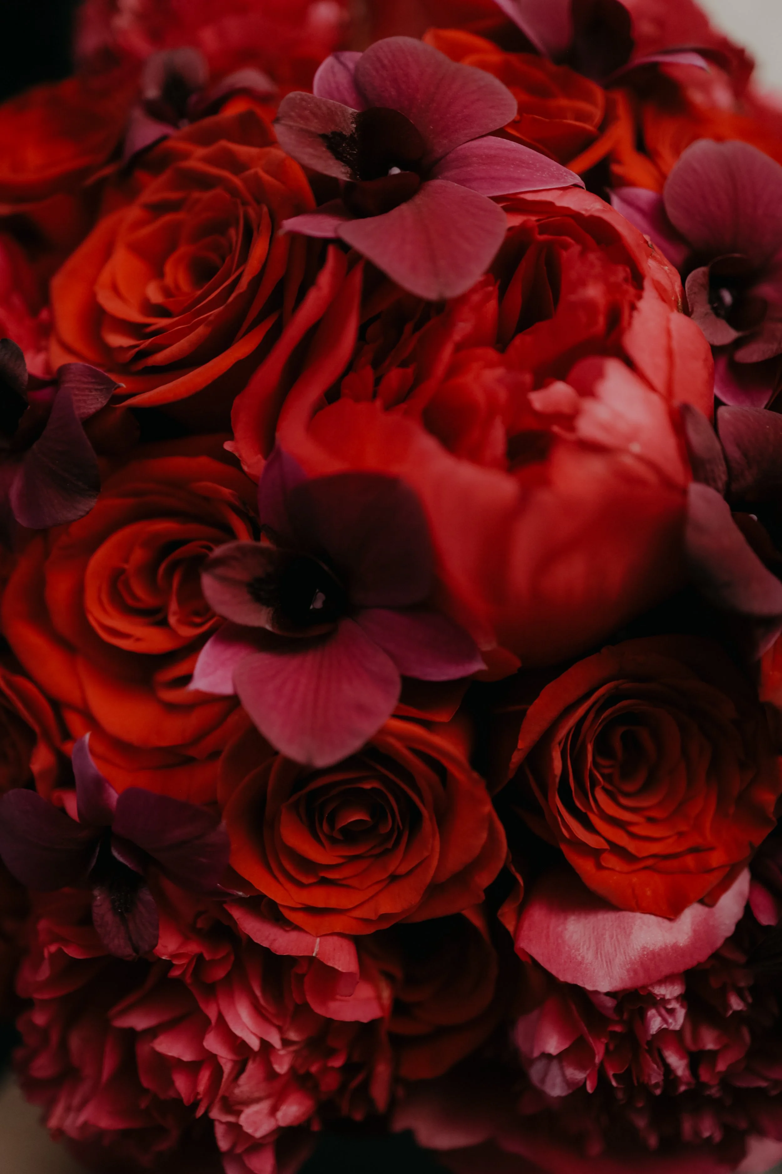 Ramo de novia con peonias rojas, rosas rojas y orquídeas dendrobium violetas.