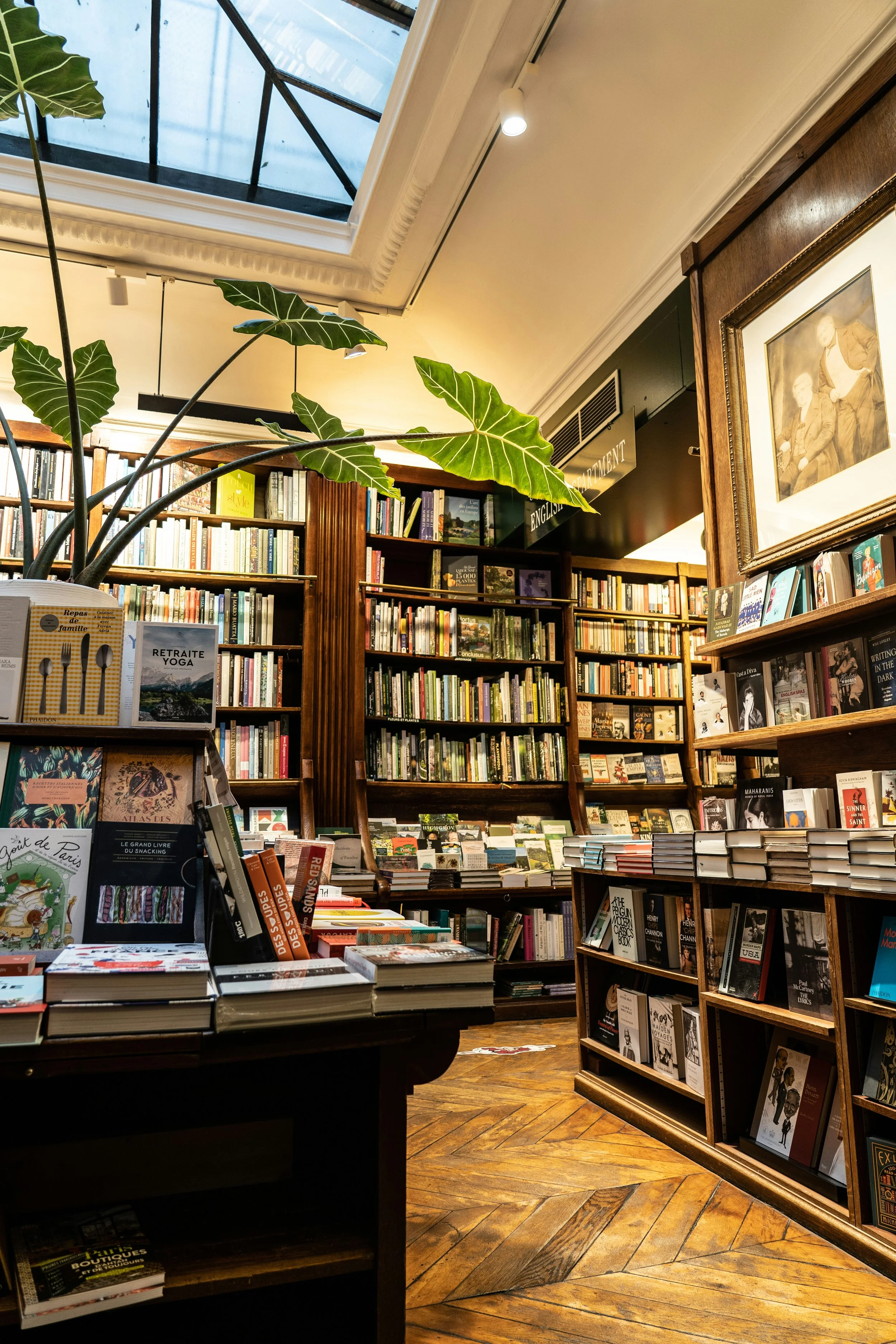 A cozy bookstore with tall wooden bookshelves filled with books, a table with books on display, an indoor plant with large green leaves, a framed picture on the wall, and a skylight window letting in natural light.