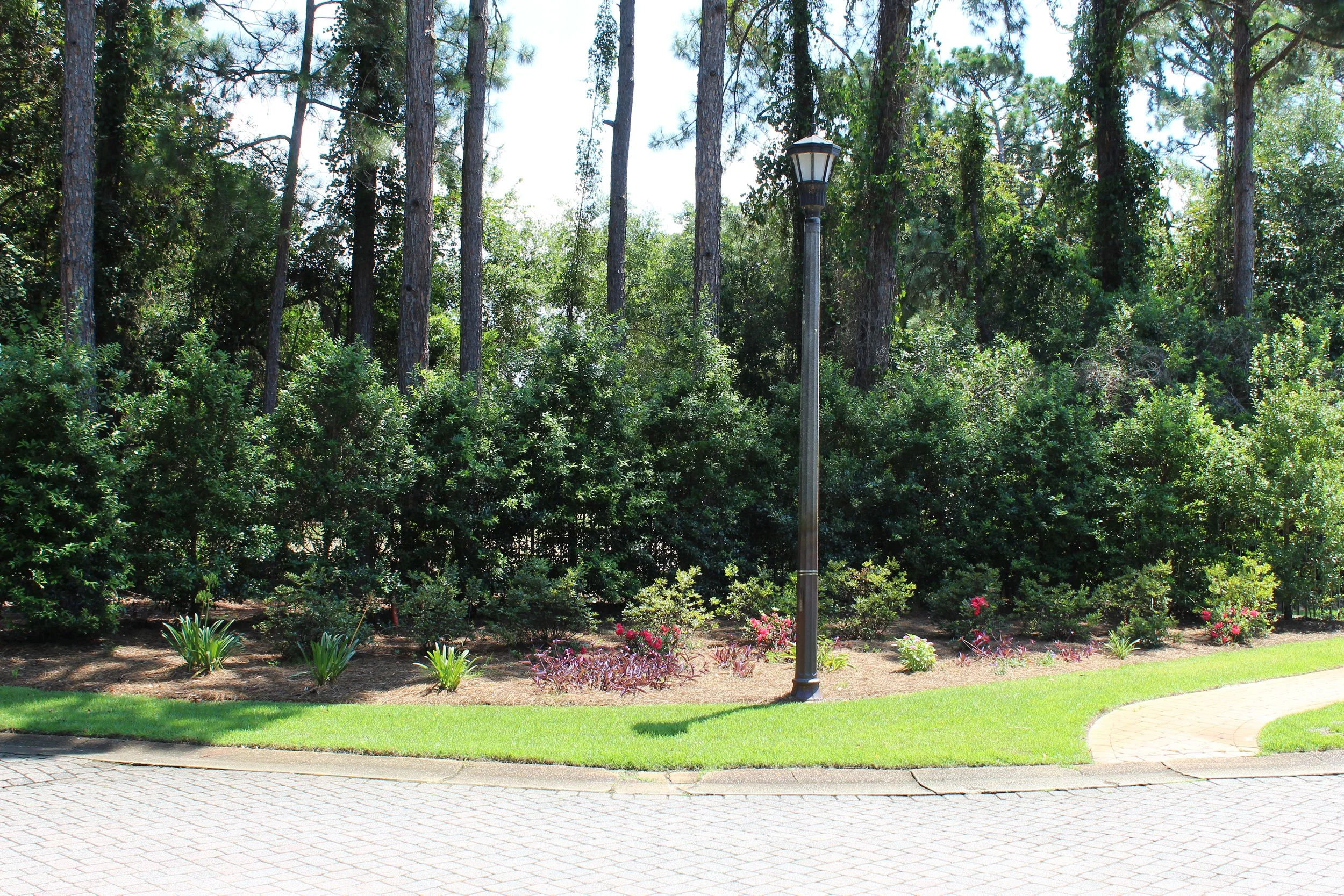 A landscaped outdoor area with a small garden bed, green bushes, trees, and a lamppost along a paved walkway.