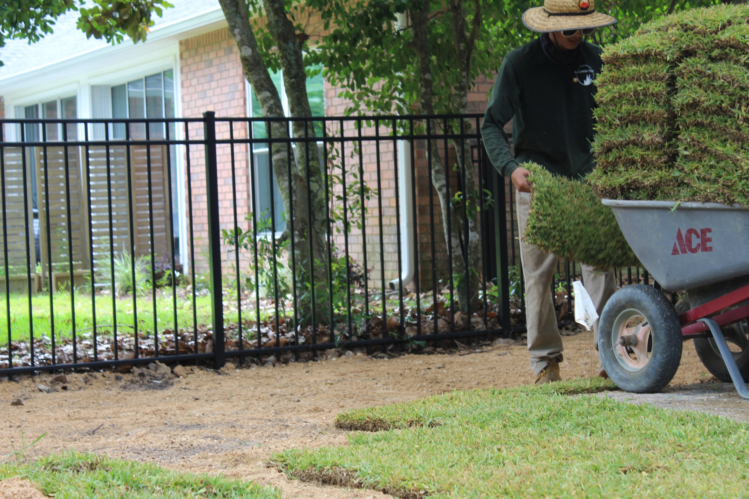A person wearing a large straw hat and sunglasses is trimming a hedge in a backyard. They are wearing a dark jacket with logos and light-colored pants. They are standing near a large wheelbarrow labeled 'ACE' with soil or mulch. The yard has a brick house with windows and a black metal fence, and there are trees with green leaves.