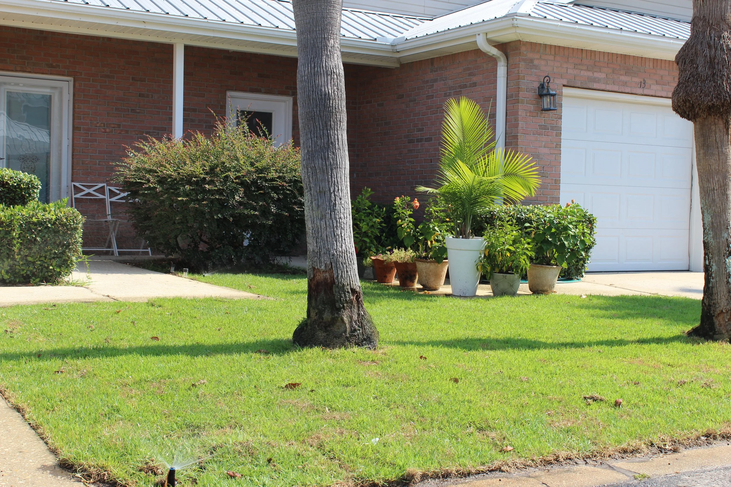 Front yard with green grass, two trees, and potted plants near a brick house with a white garage door and a front door with a small porch. A lawn sprinkler is watering the grass.