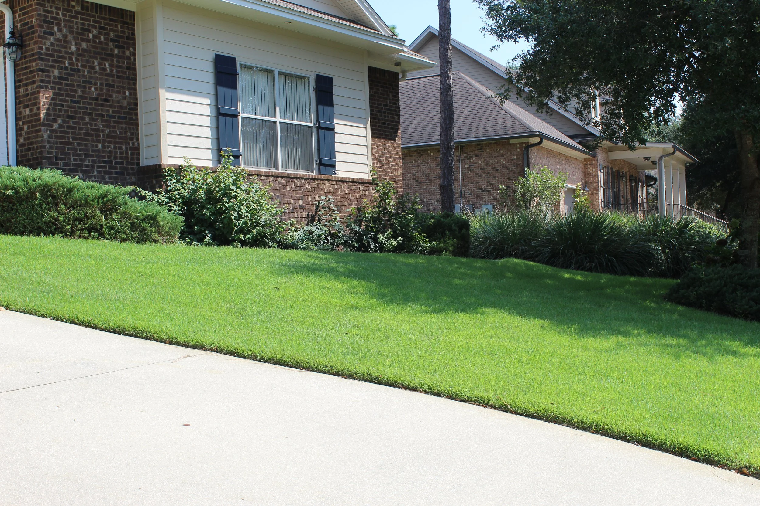 Front yard of a suburban house with a green lawn, bushes, and a large tree, with part of the house's brick and white siding visible.