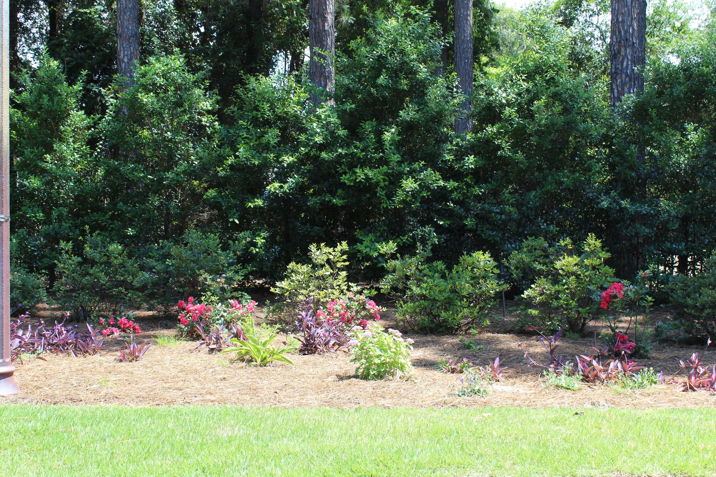 Garden scene with green bushes, pink and purple flowers, and tall trees in the background.