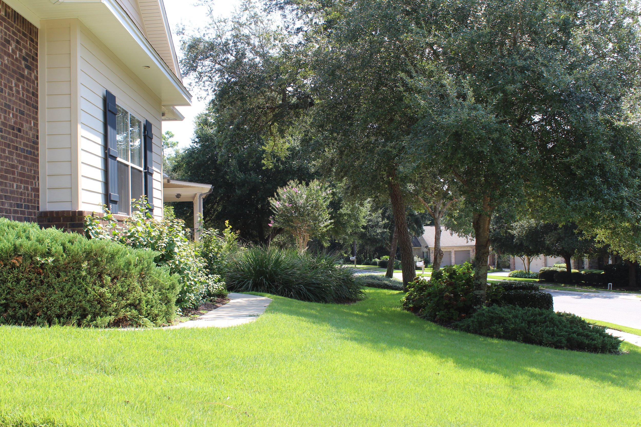 A suburban front yard with green grass, bushes, and trees near a house with beige siding and blue shutters, with other houses and a street visible in the background.
