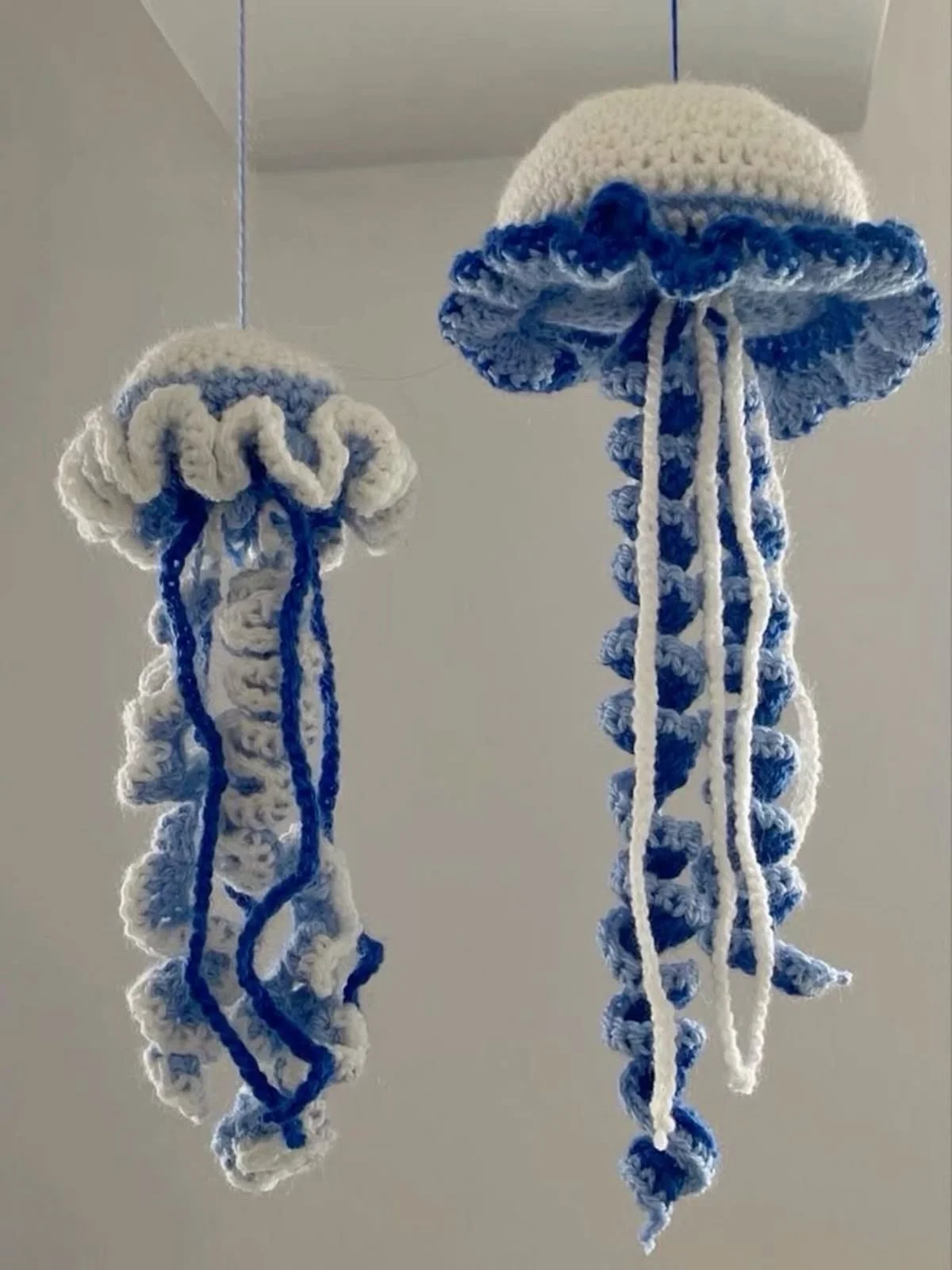 Jellyfish