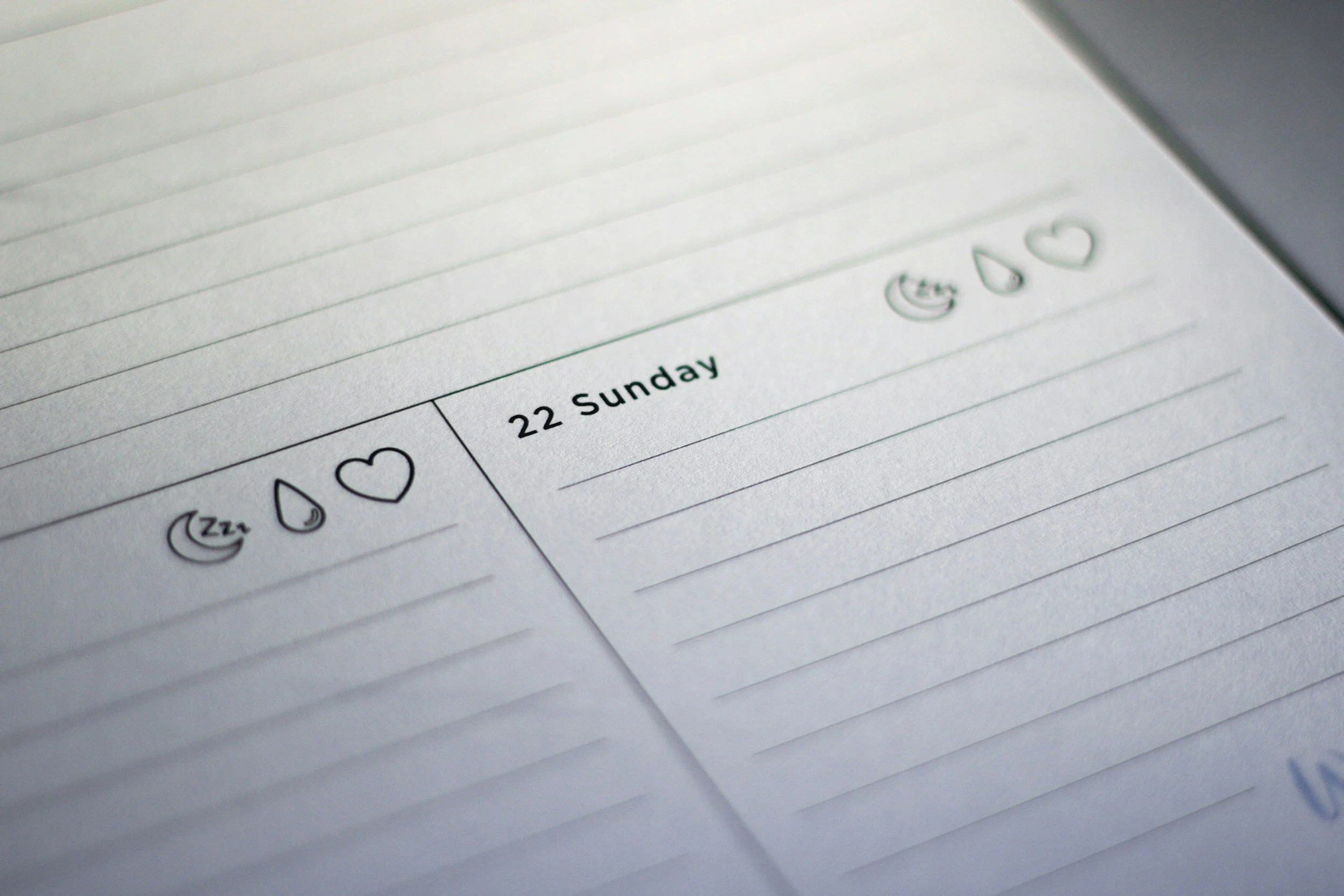 create a schedule and routines that align with your values and keep your family organized