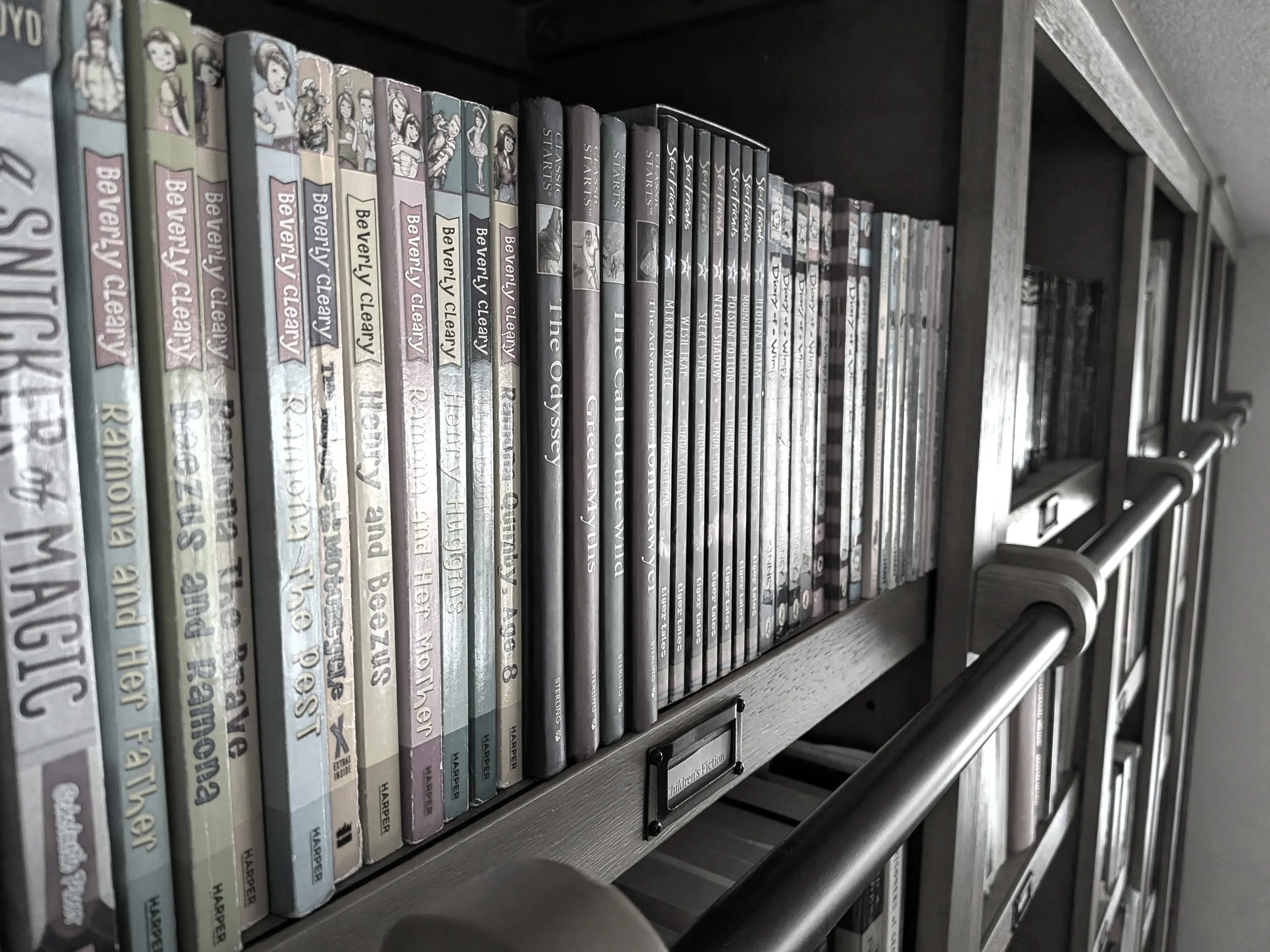 organize living room shelves