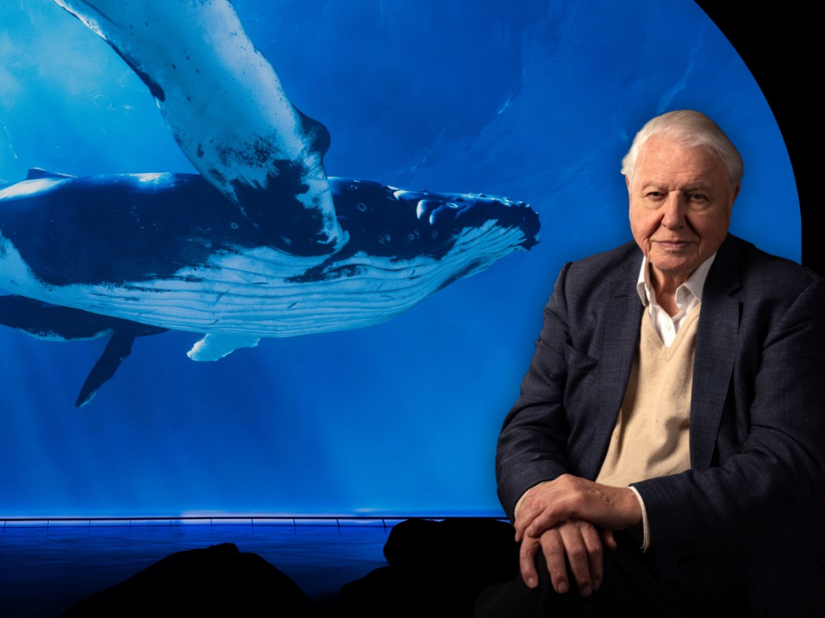 Our Story with David Attenborough