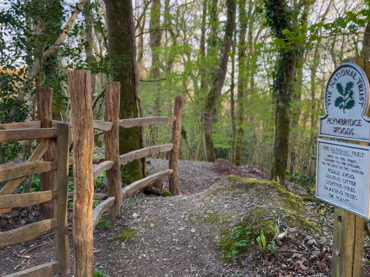 Plymbridge Woods.png