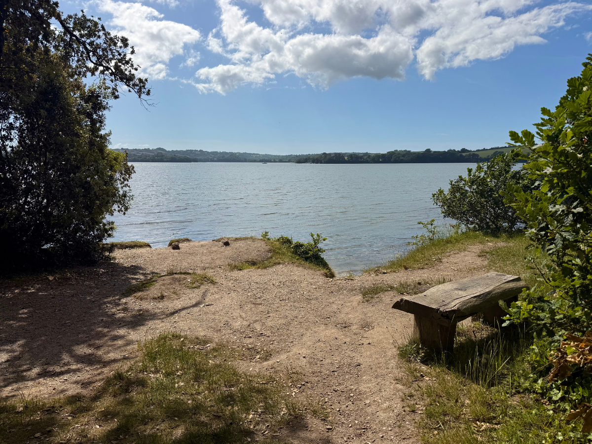 Warleigh Point Bench.png