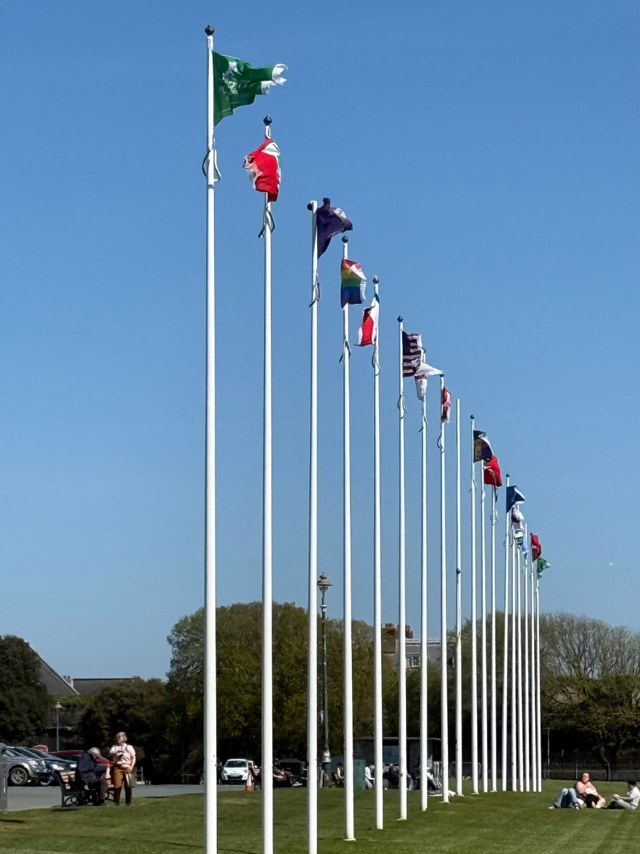 Hoe Flags.png