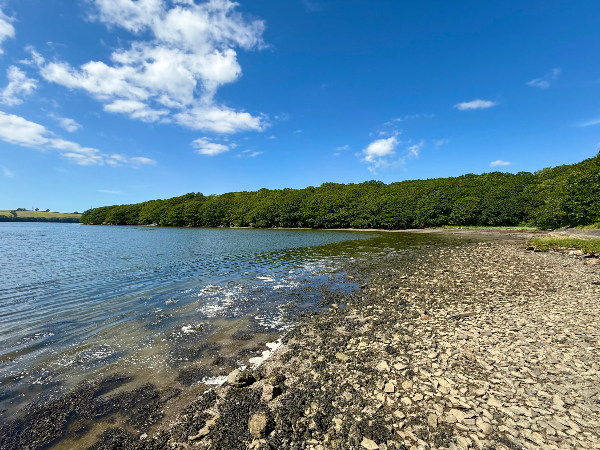 Warleigh Point.png