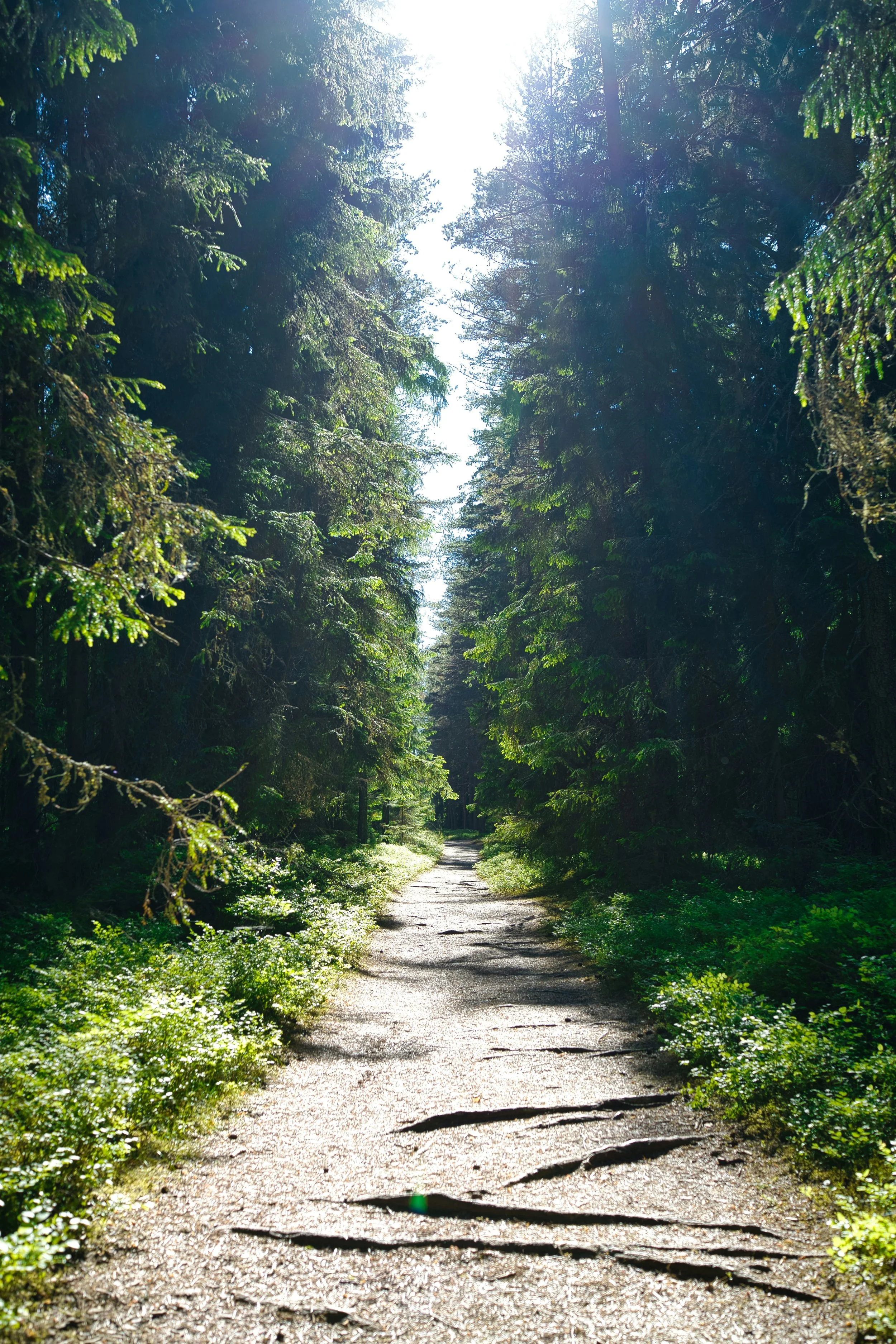 Welcome — You’re Not Alone Here
