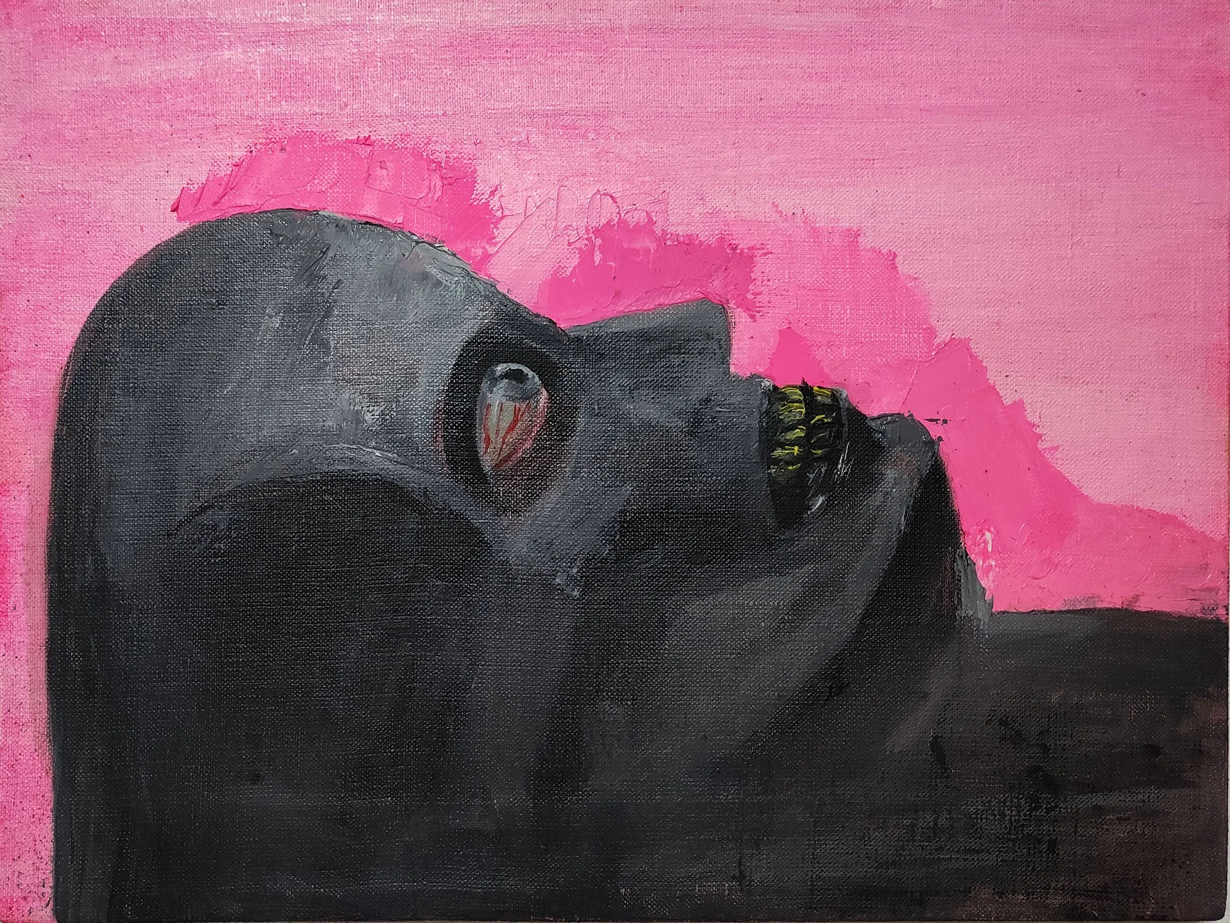 VARIATIONS IN CONFRONTING DEATH 2,
2021,
Oil on canvas,
30 × 40 cm
