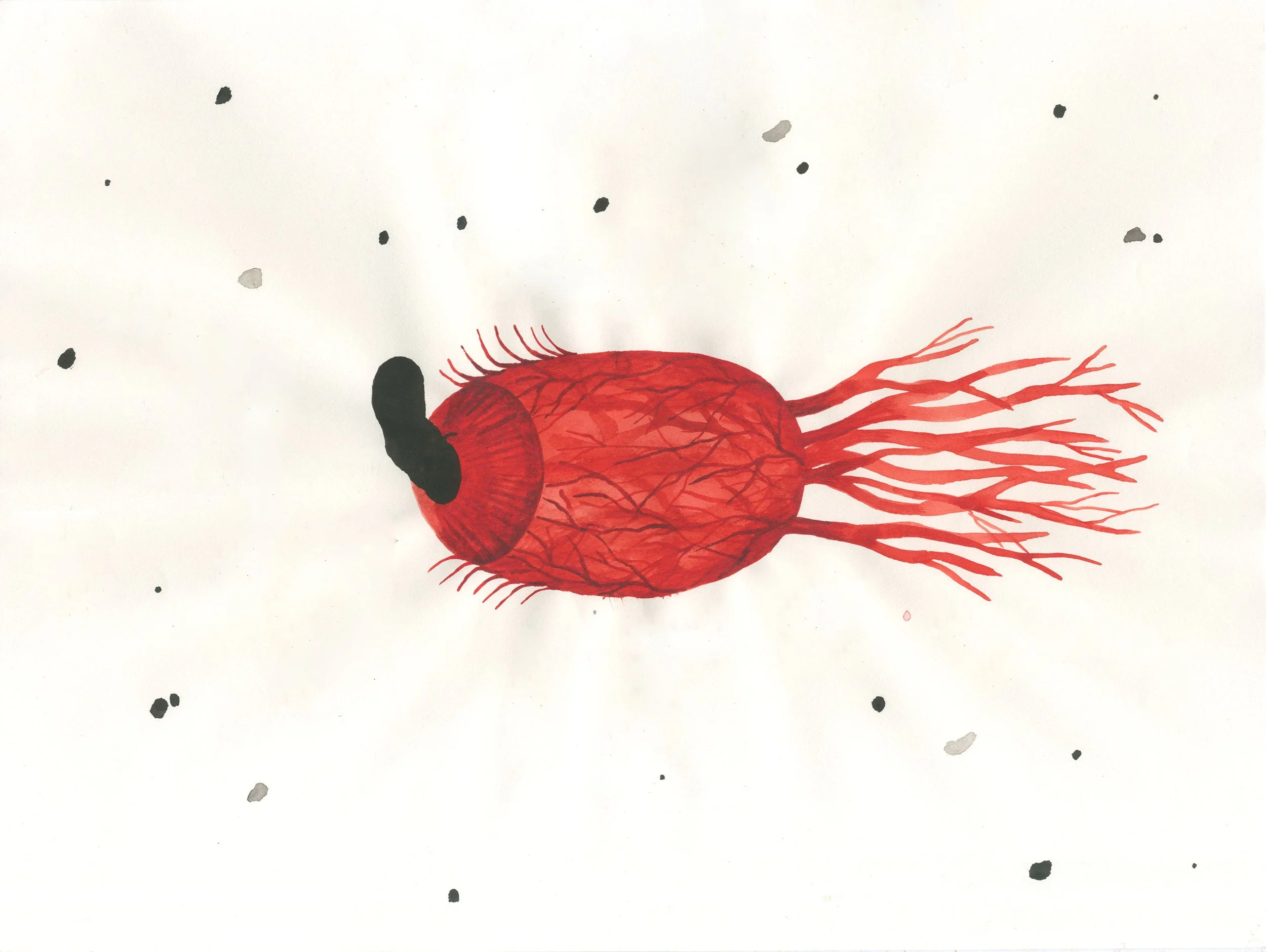 MYOPIA 2,
2021,
Watercolour on paper,
24 × 32 cm
