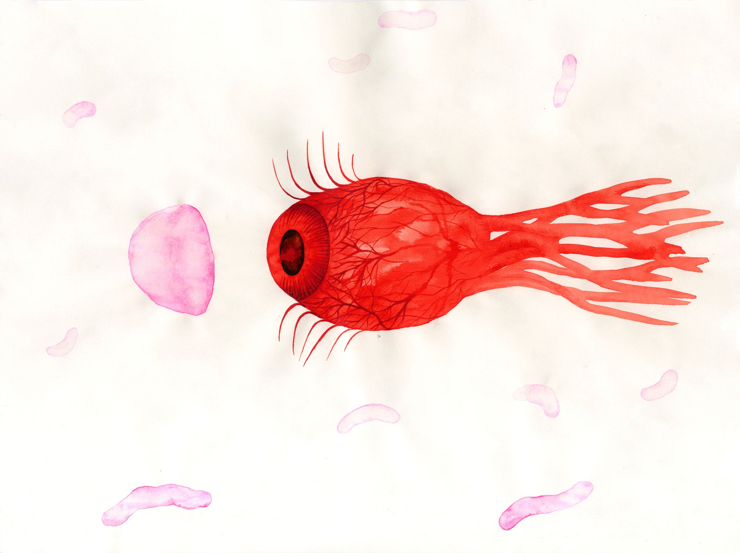 POOR OPTICS,
2021,
Watercolour on paper,
24 × 32 cm

