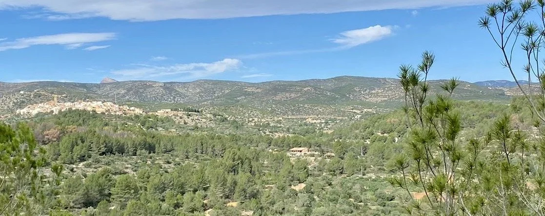 A landscape view of a mountainous region with green trees and shrubs, a clear blue sky, and a distant town on the hillside.