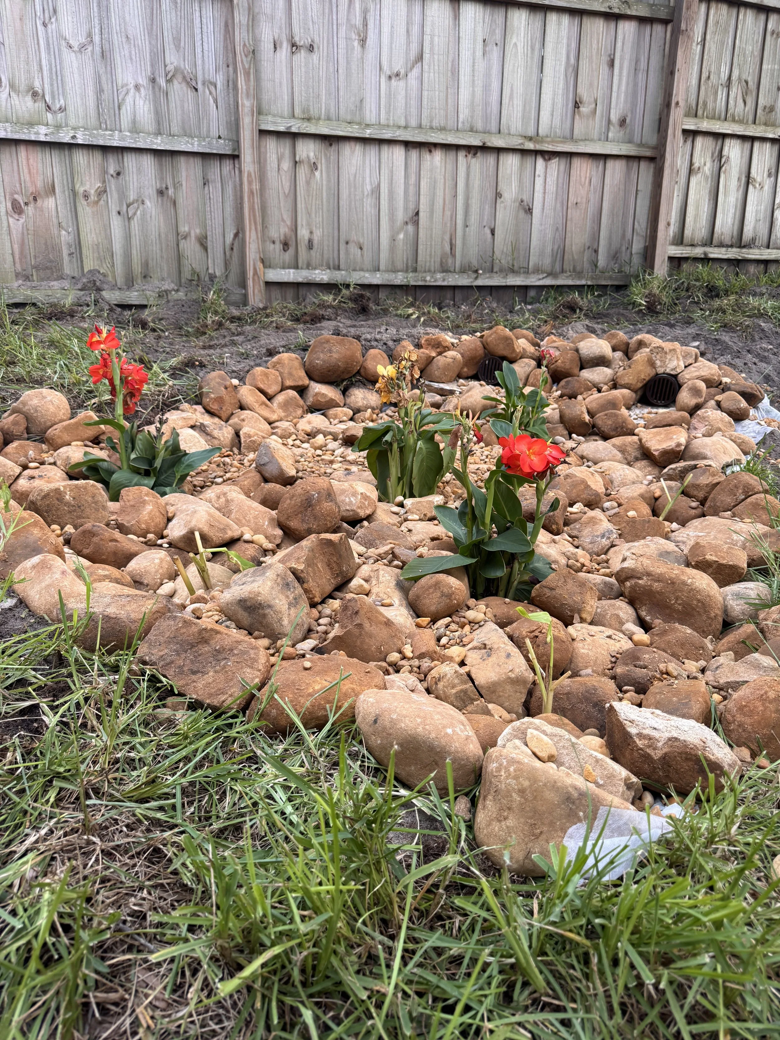 A backyard landscape with a stone border around a small garden bed, featuring red flowering plants and green grass in the foreground, and a wooden fence in the background.