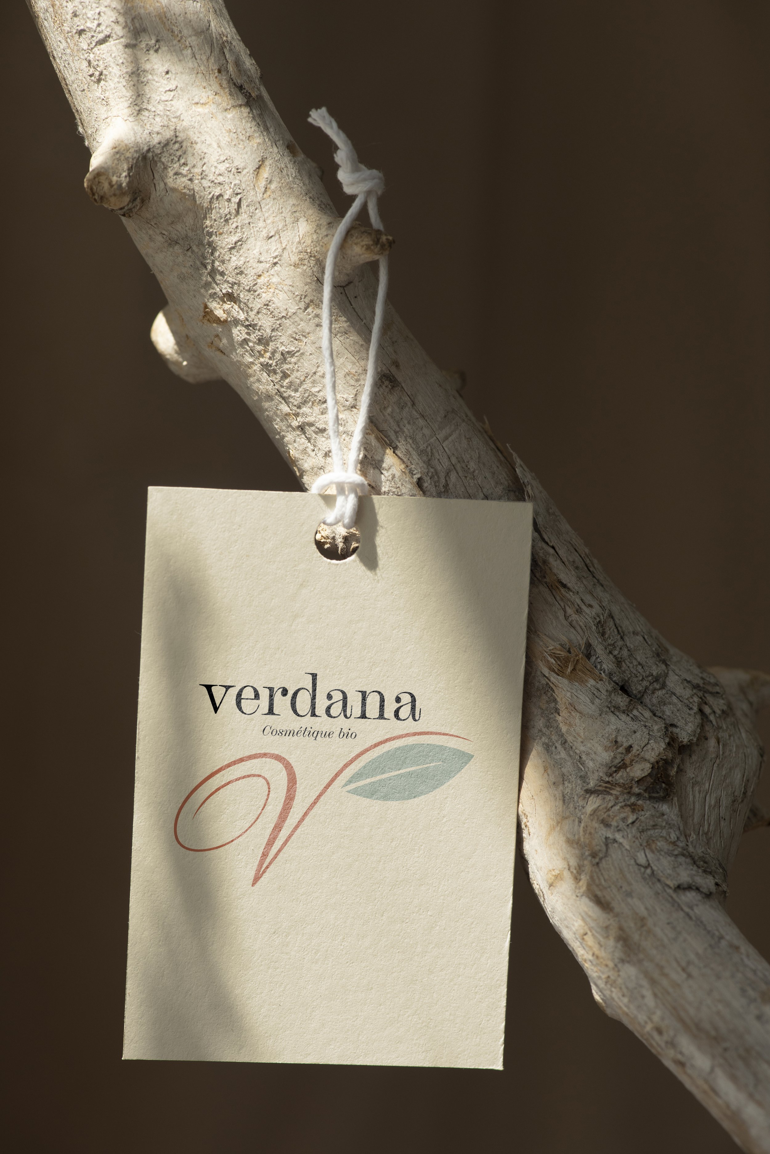 Verdana6.jpg