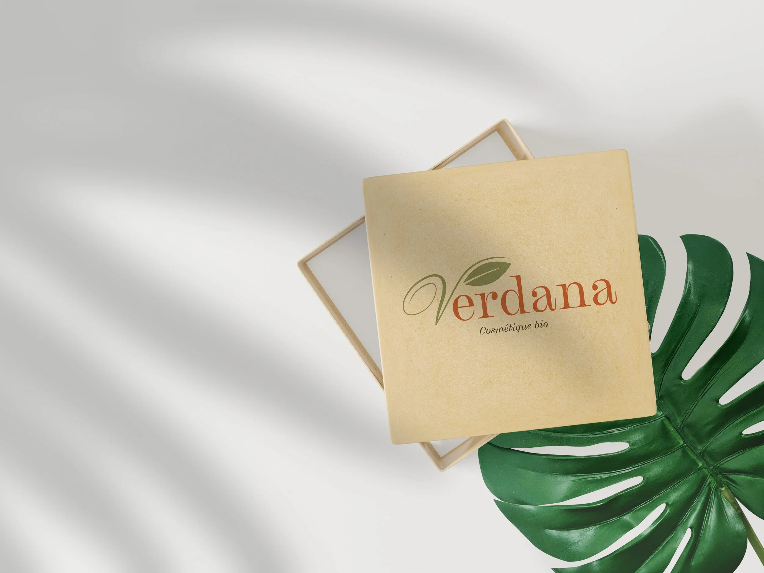 Verdana12.jpg