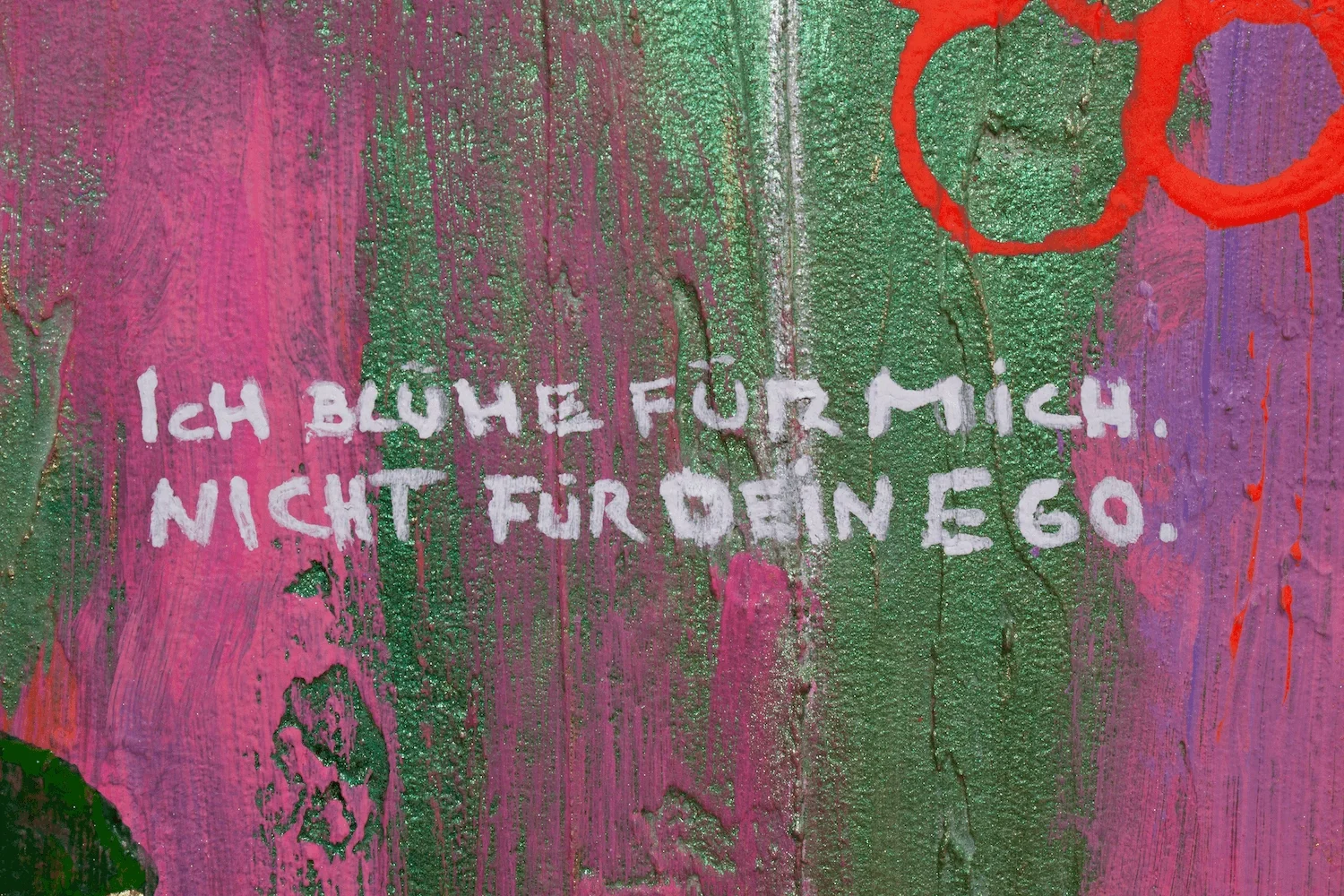 Graffiti mit der deutschen Aufschrift 'Ich brauche mich nicht für das zu schämen', auf einer bunten, verzerrten Holzoberfläche.