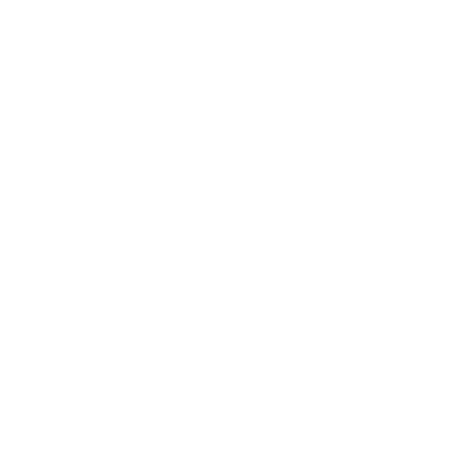 Bre Williams | North Texas Realtor