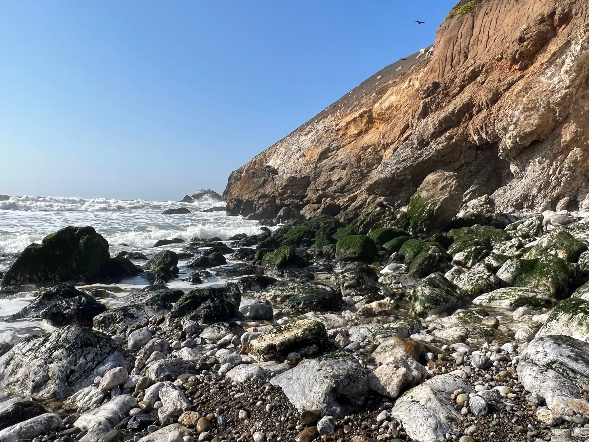 A rocky shoreline with large moss-covered boulders in the foreground, waves crashing against the rocks, and a large cliffside with patches of moss and grass on the right. The sky is clear and blue with a few birds flying.