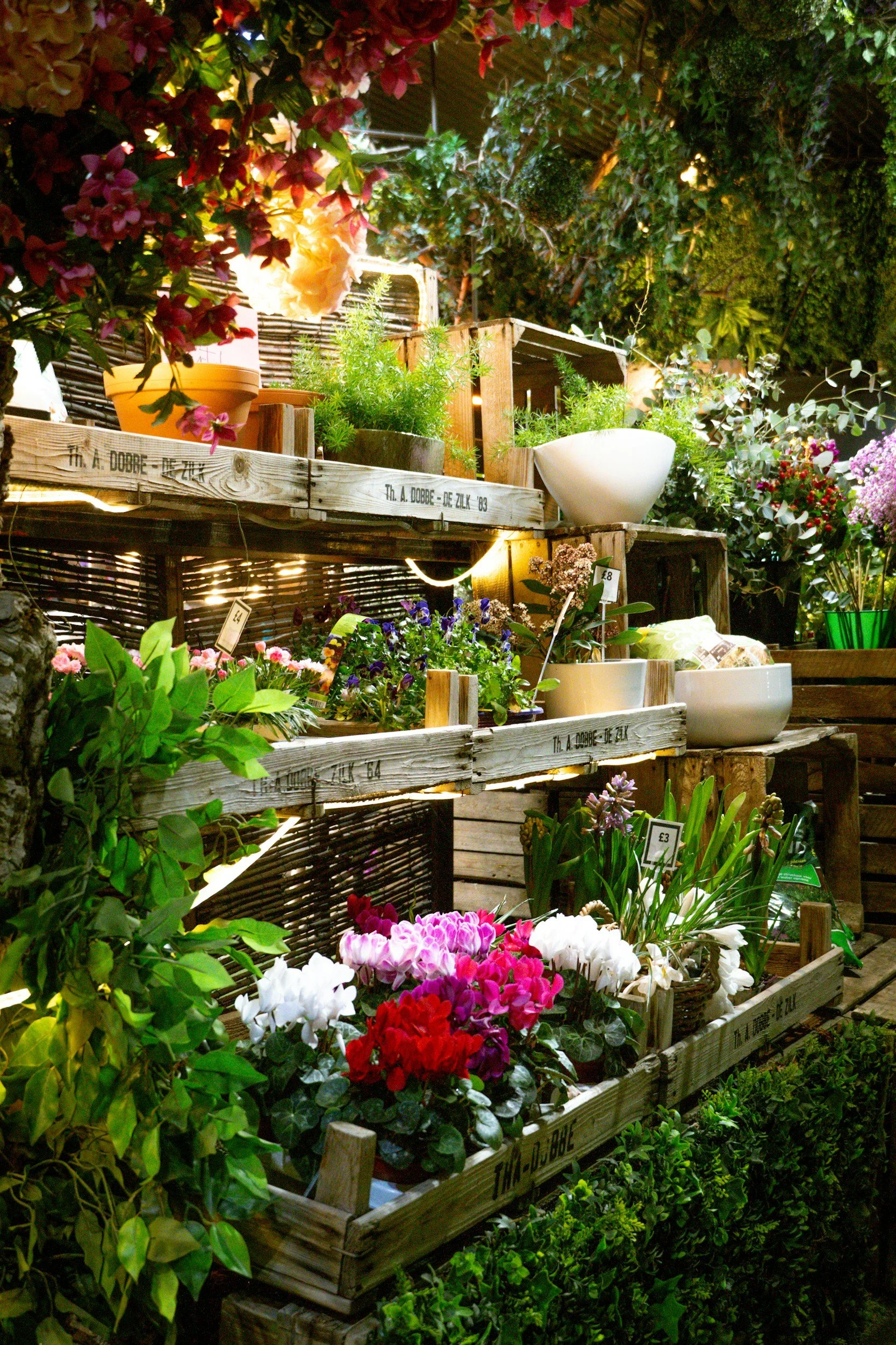 A display of potted flowers and plants on wooden shelves, illuminated by warm lighting, set against a backdrop of green foliage and decorative plants.