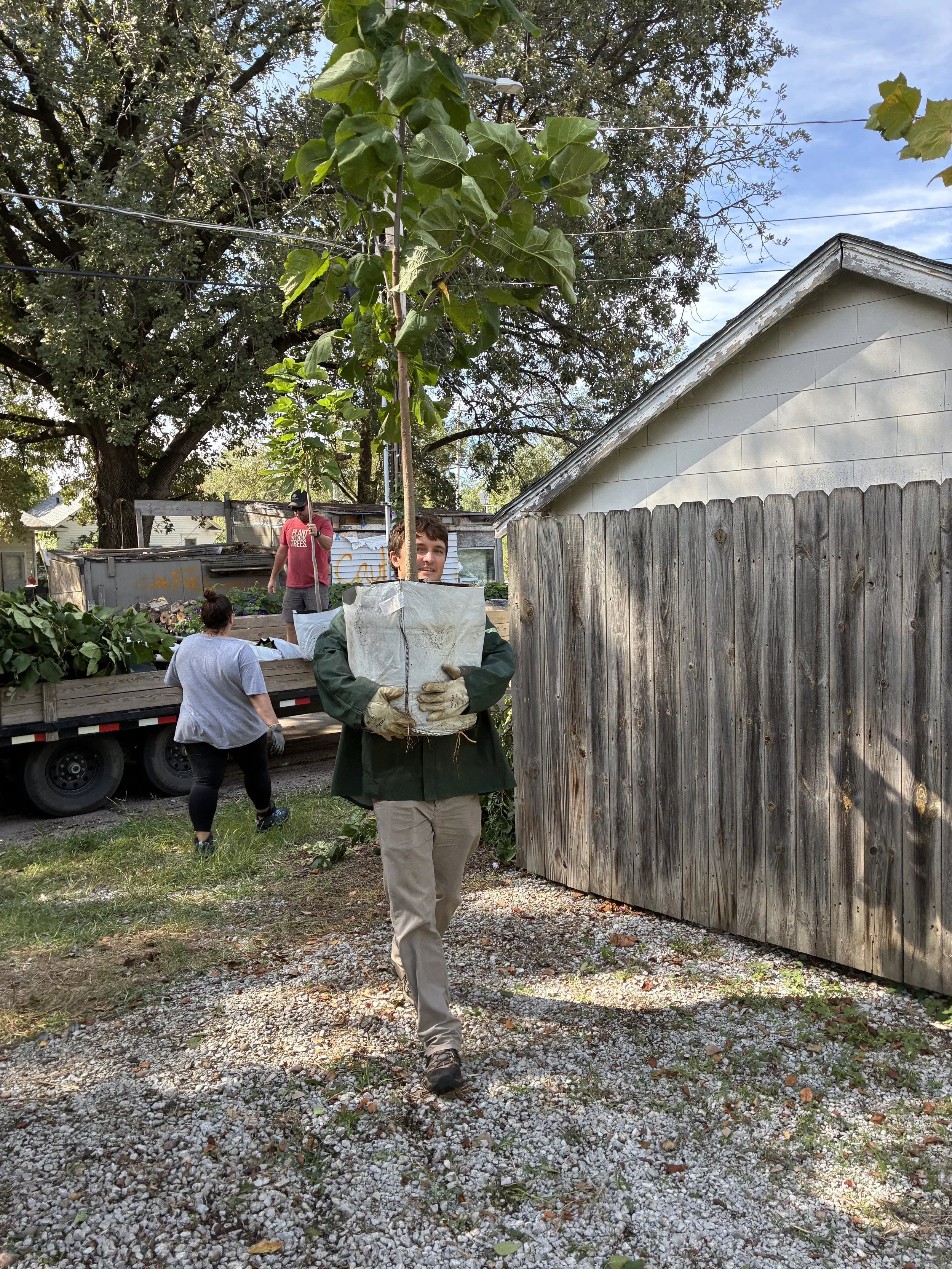 People planting a tree in a backyard, with one person carrying a bag of soil or fertilizer, and others collaborating, surrounded by trees, a wooden fence, a shed, and a house with a gabled roof.